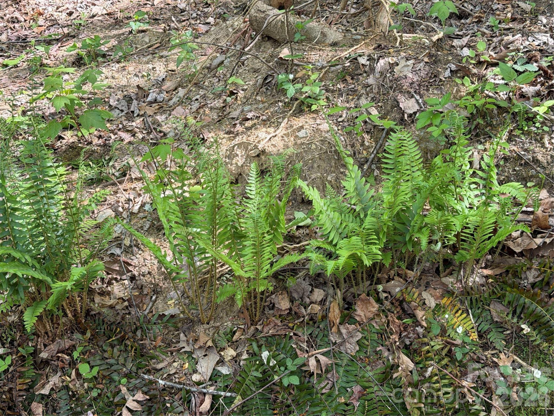 00 Lakeview Drive #414/415 - Photo 10