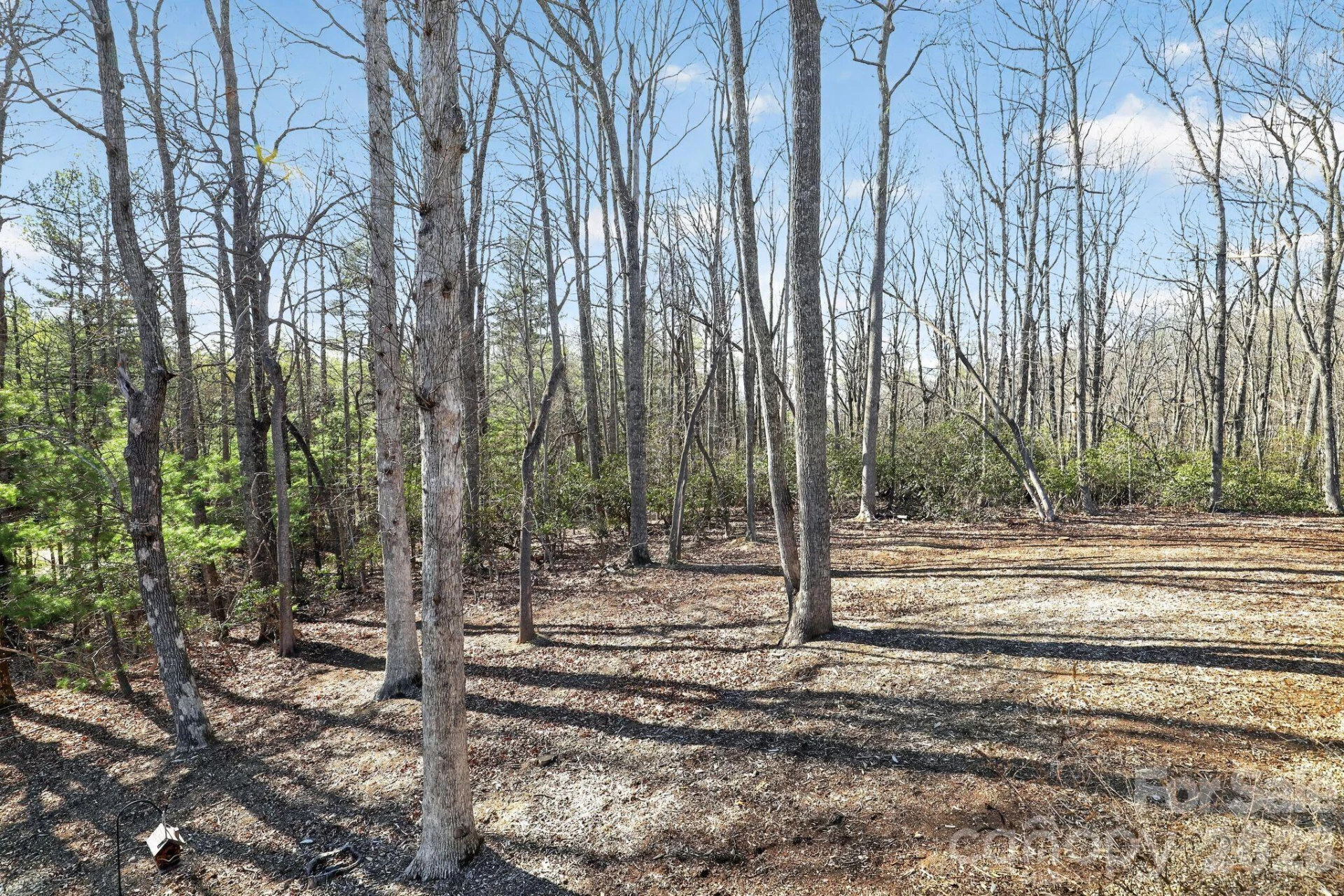 3757 Laurel Park Highway - Photo 5