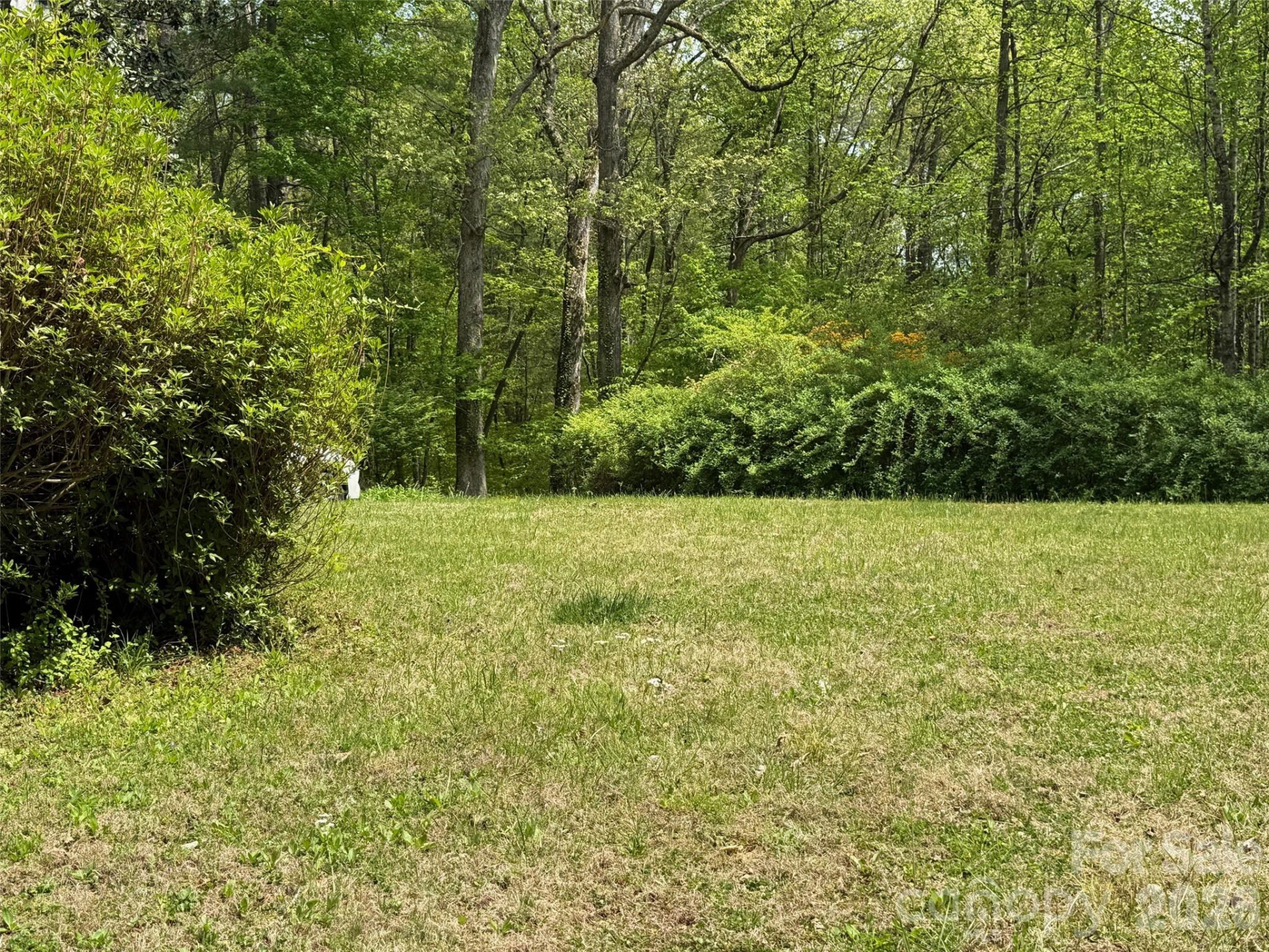 207 Ewbank Road - Photo 17