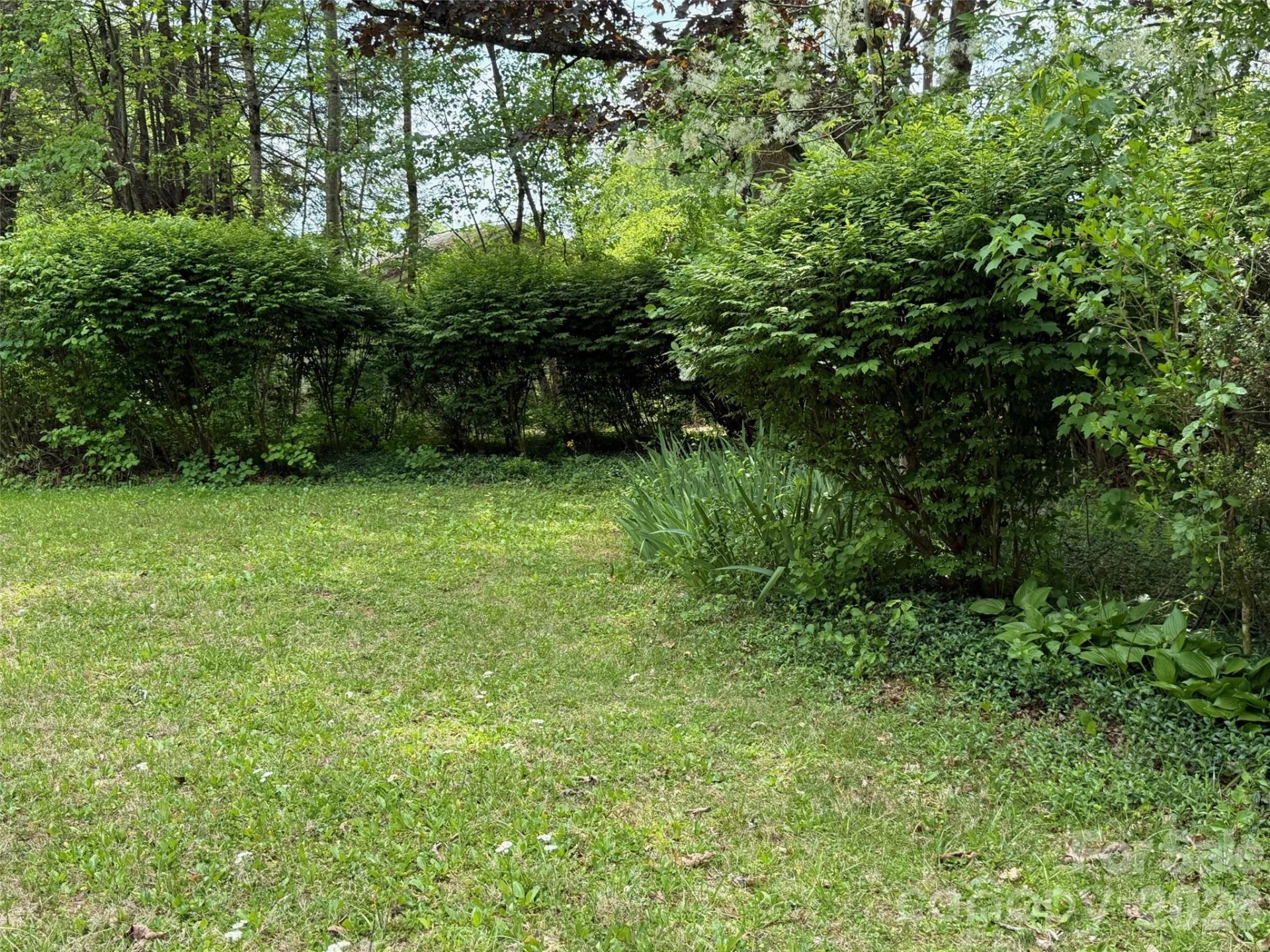 207 Ewbank Road - Photo 18