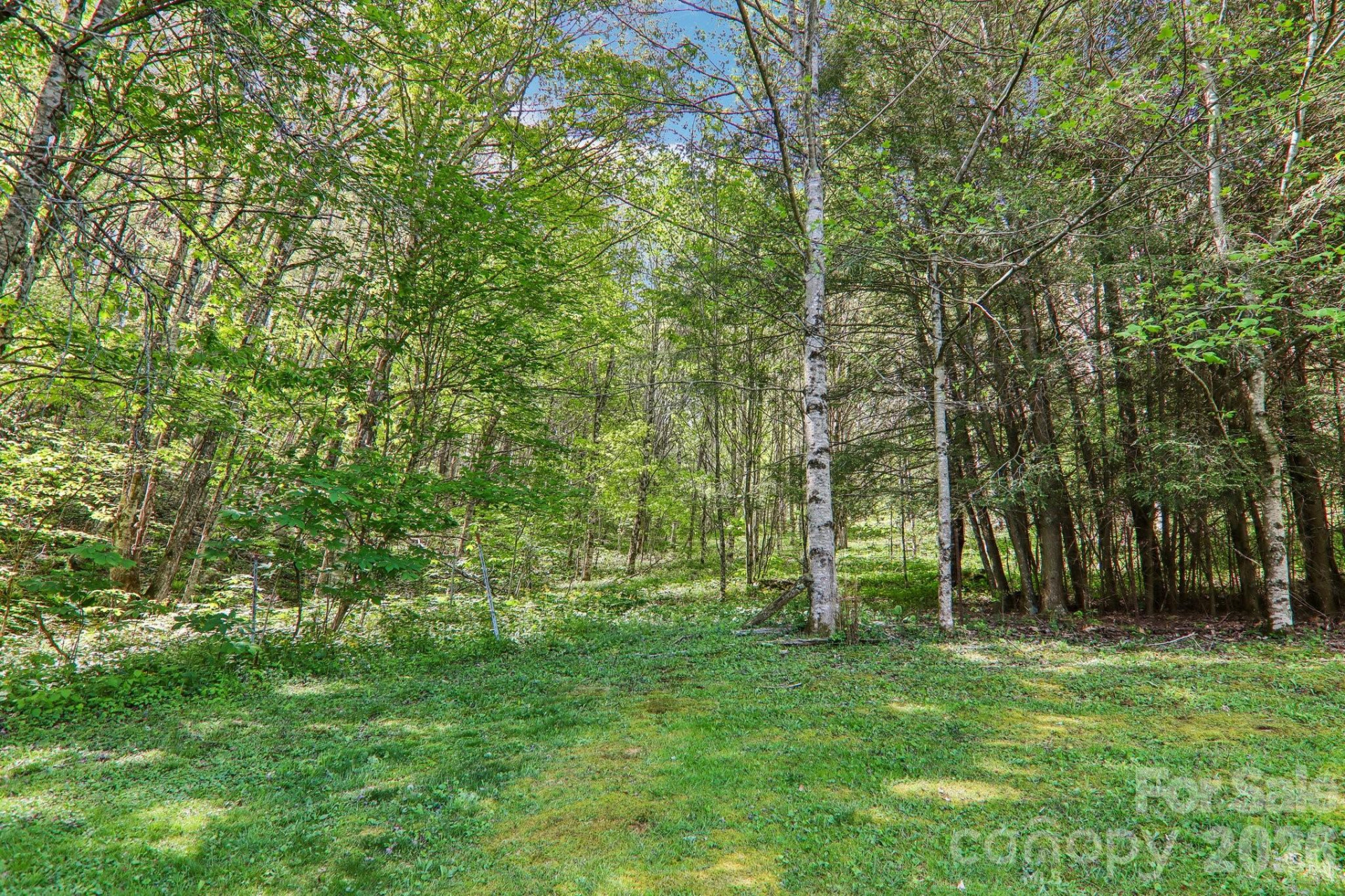 129 Cash Phillips Drive - Photo 35