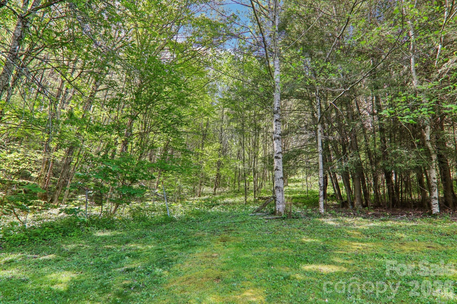 129 Cash Phillips Drive - Photo 35