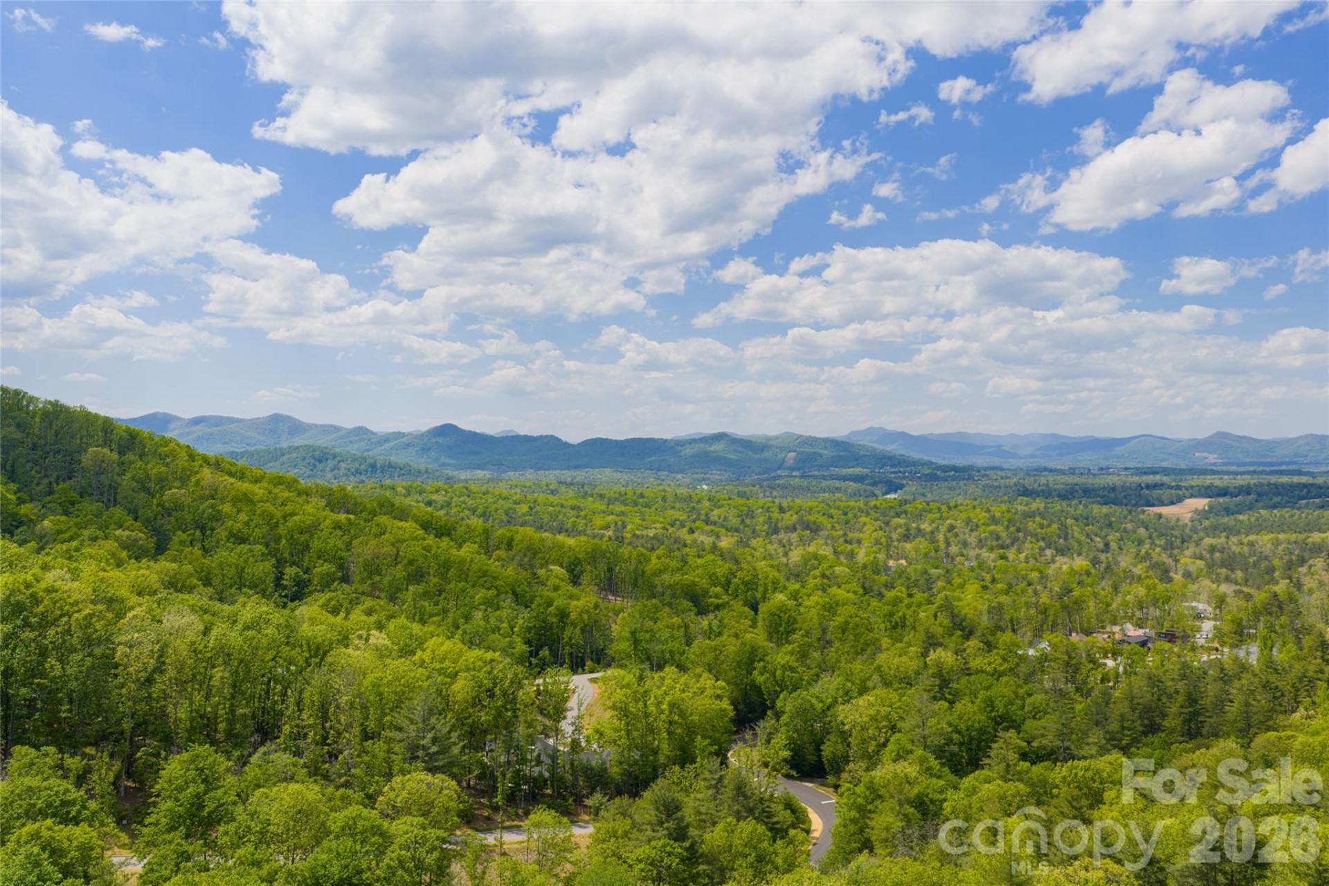 693 Tea House Drive #905 - Photo 2
