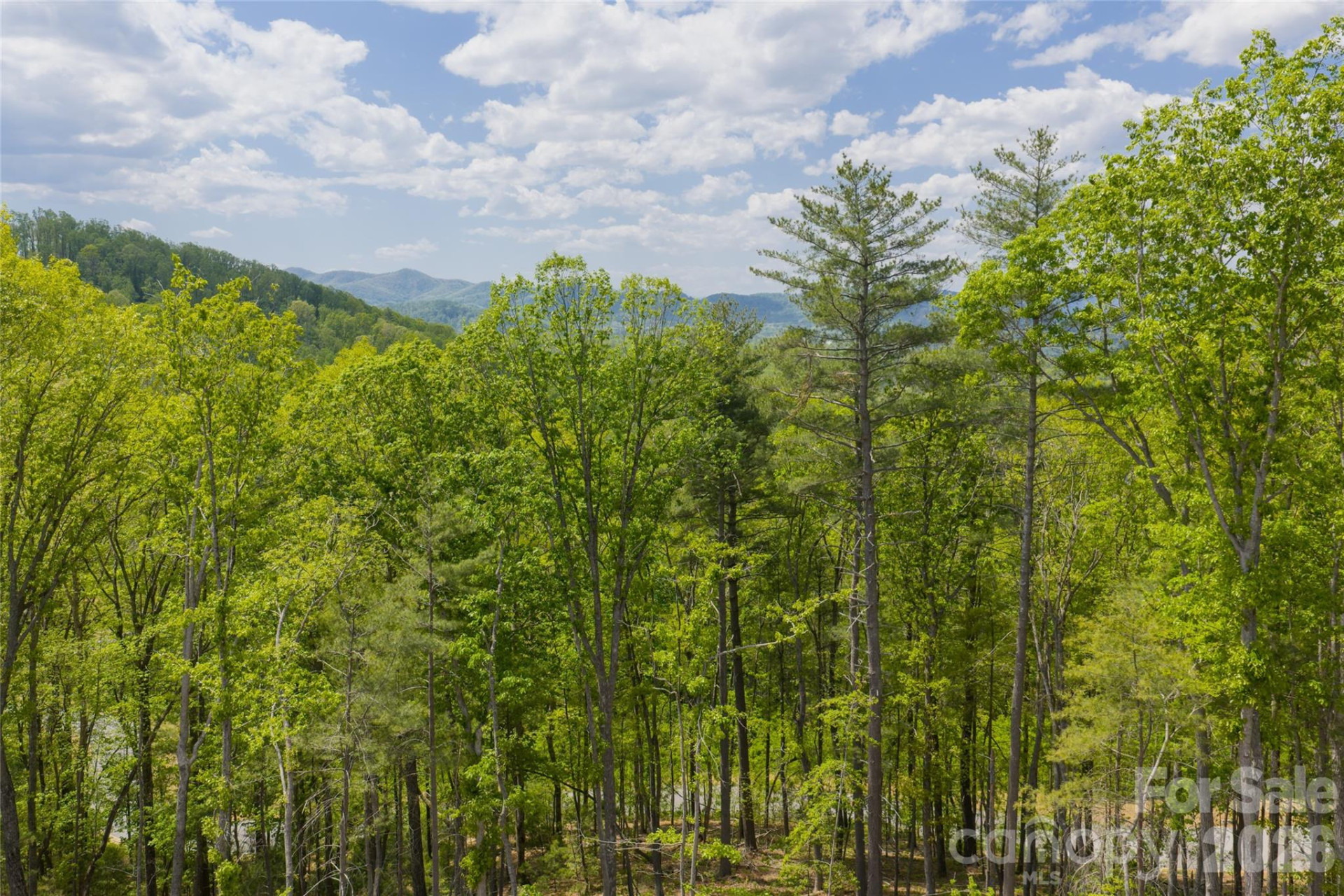 693 Tea House Drive #905 - Photo 3