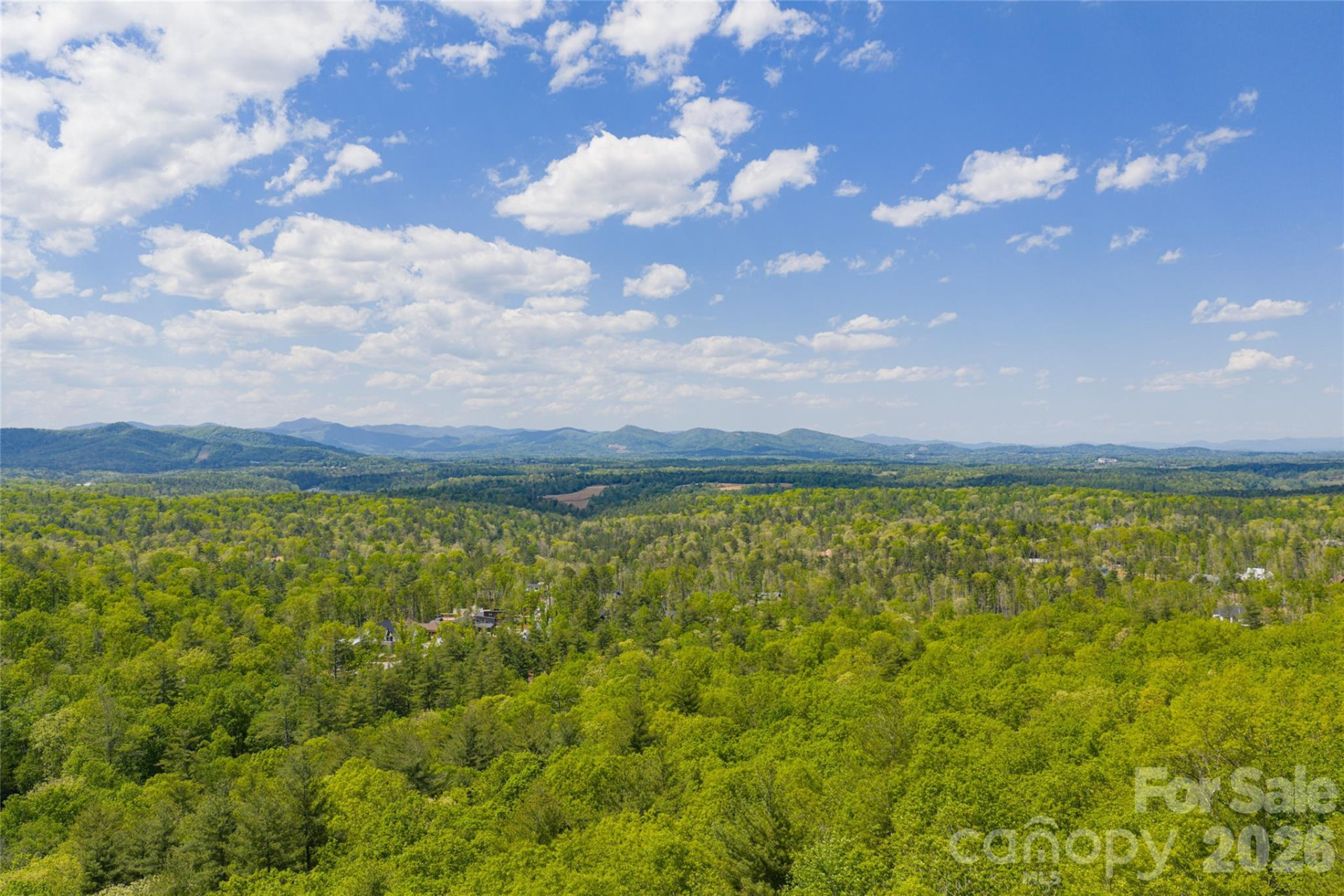 693 Tea House Drive #905 - Photo 5