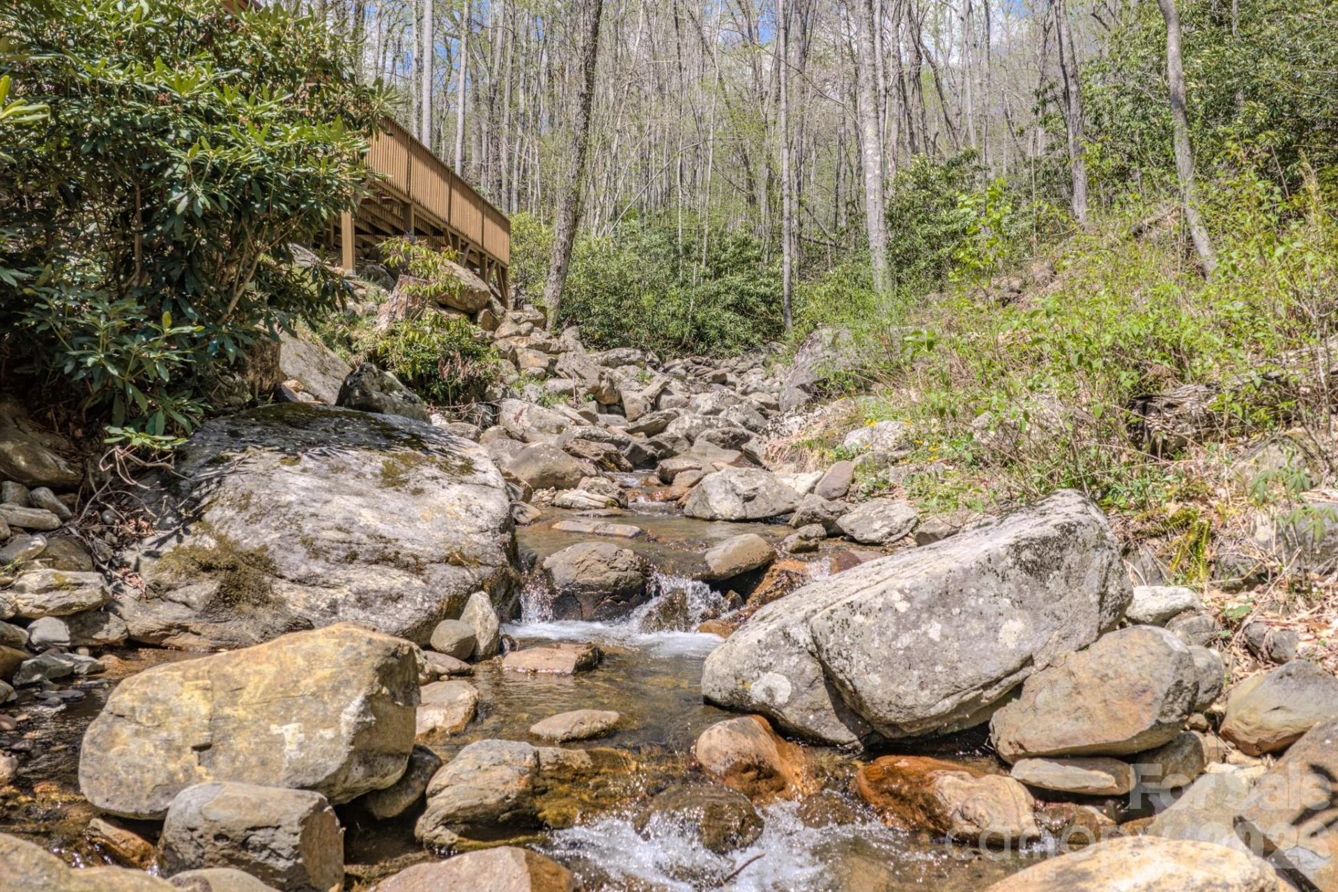 426 Cook Town Road - Photo 41