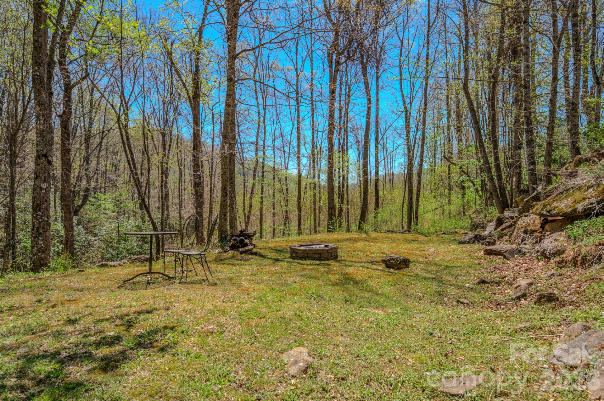 426 Cook Town Road - Photo 49