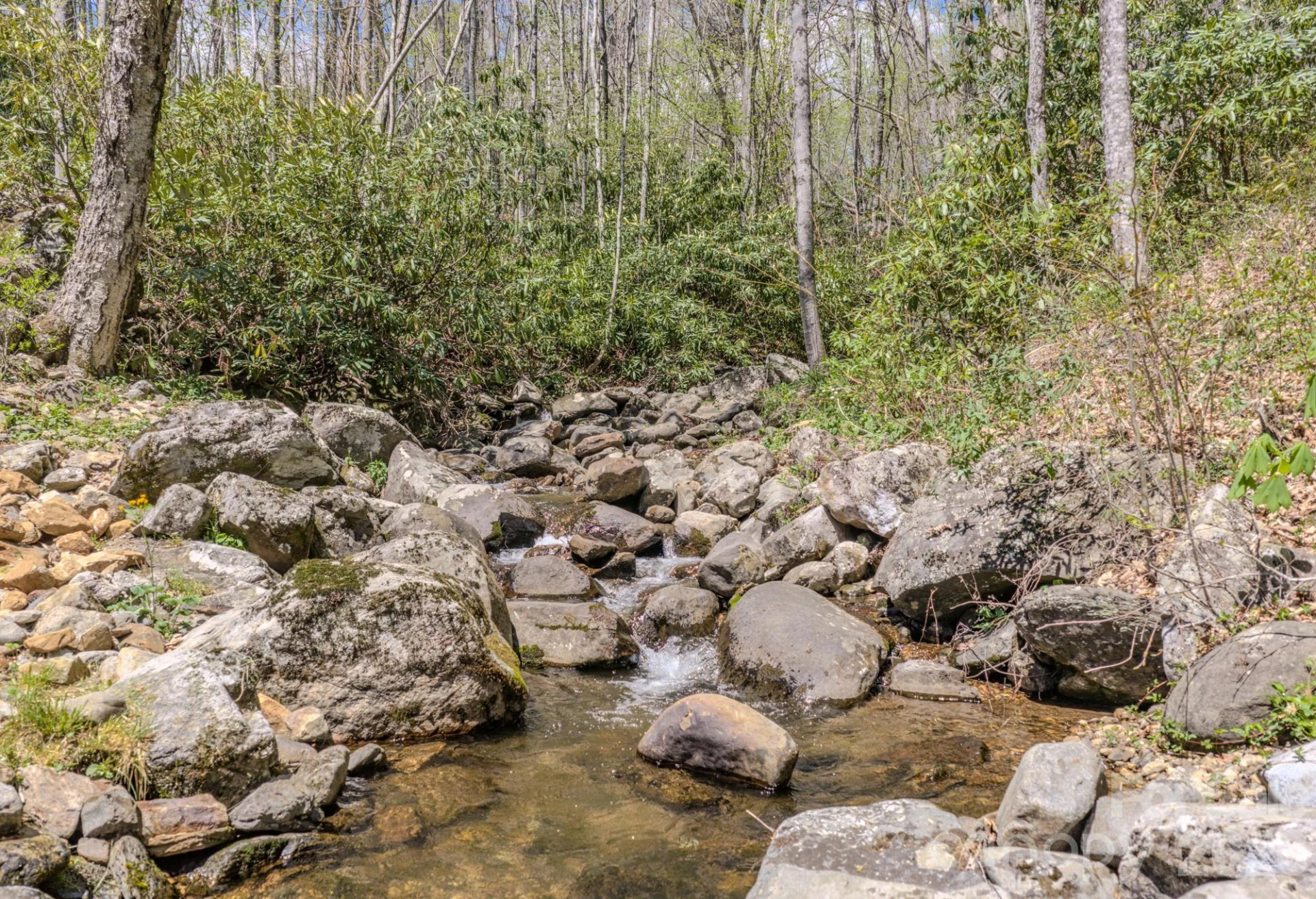 426 Cook Town Road - Photo 47