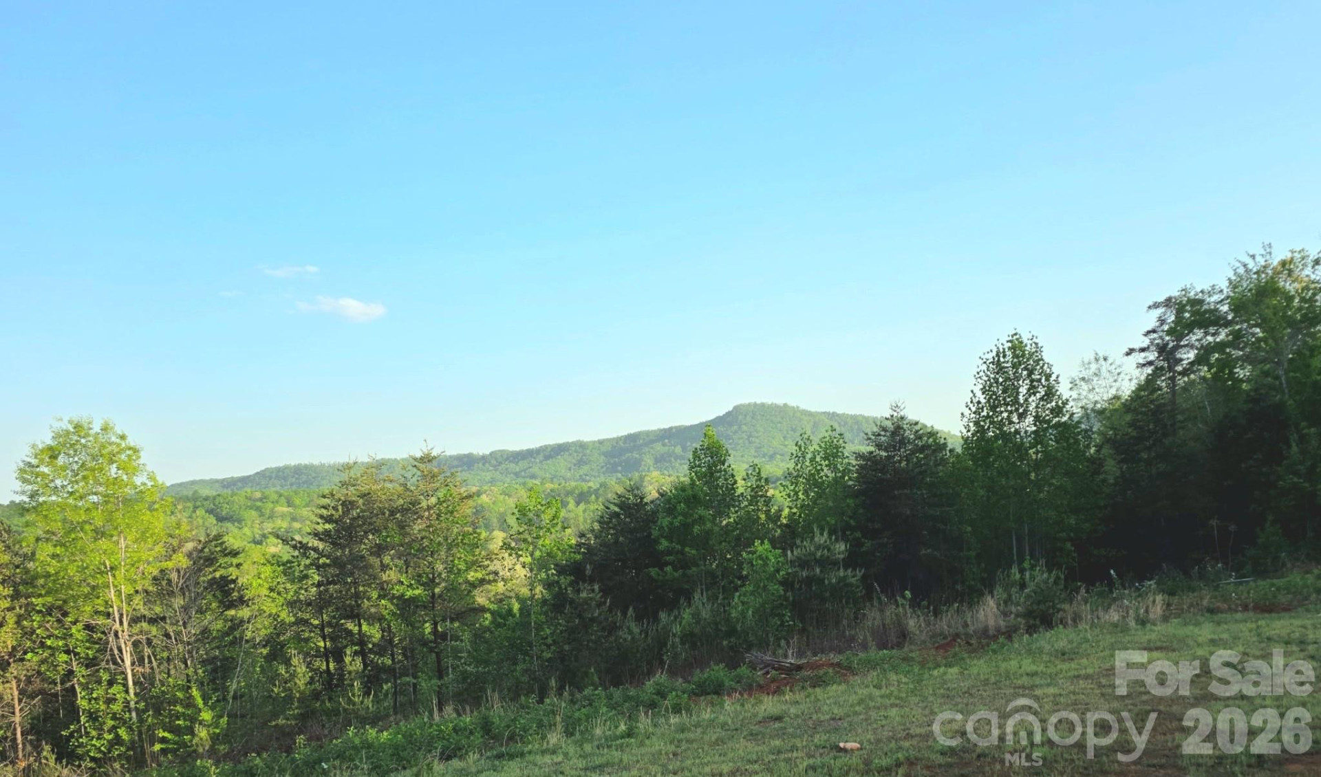 400 Mac Drive - Photo 4