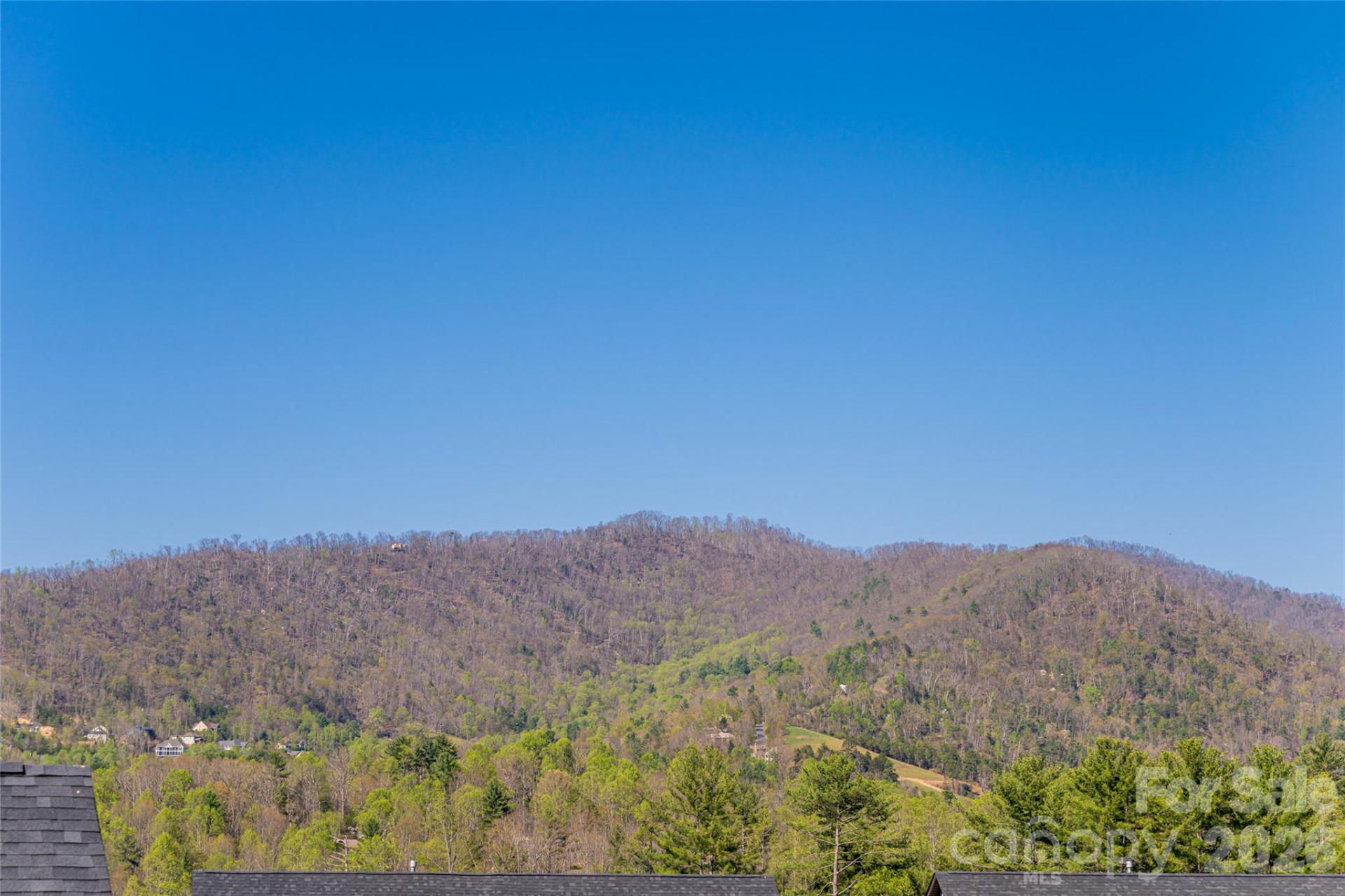 508 Rosebud Orchid Way - Photo 42