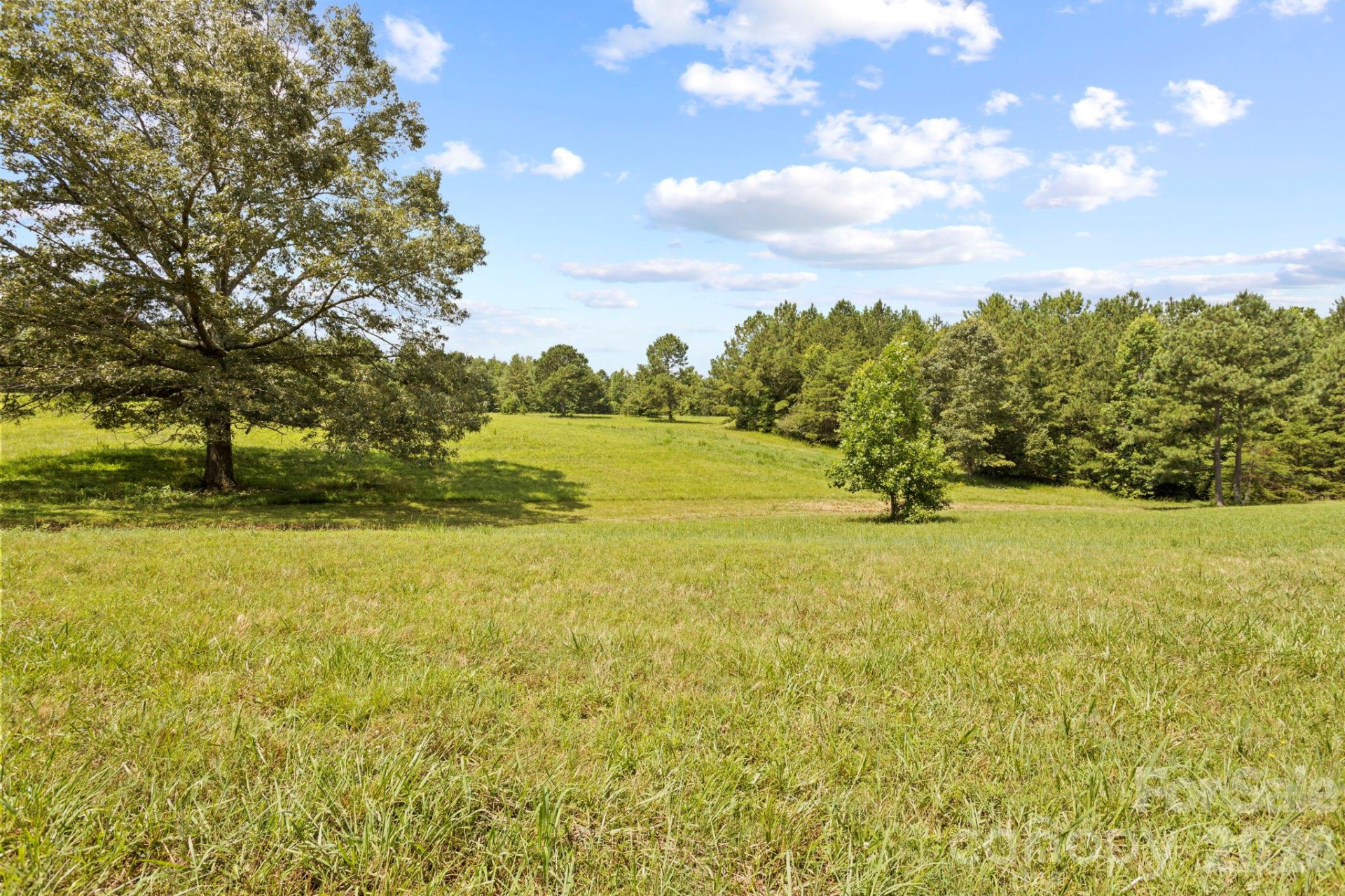 1896 Green Creek Drive - Photo 34