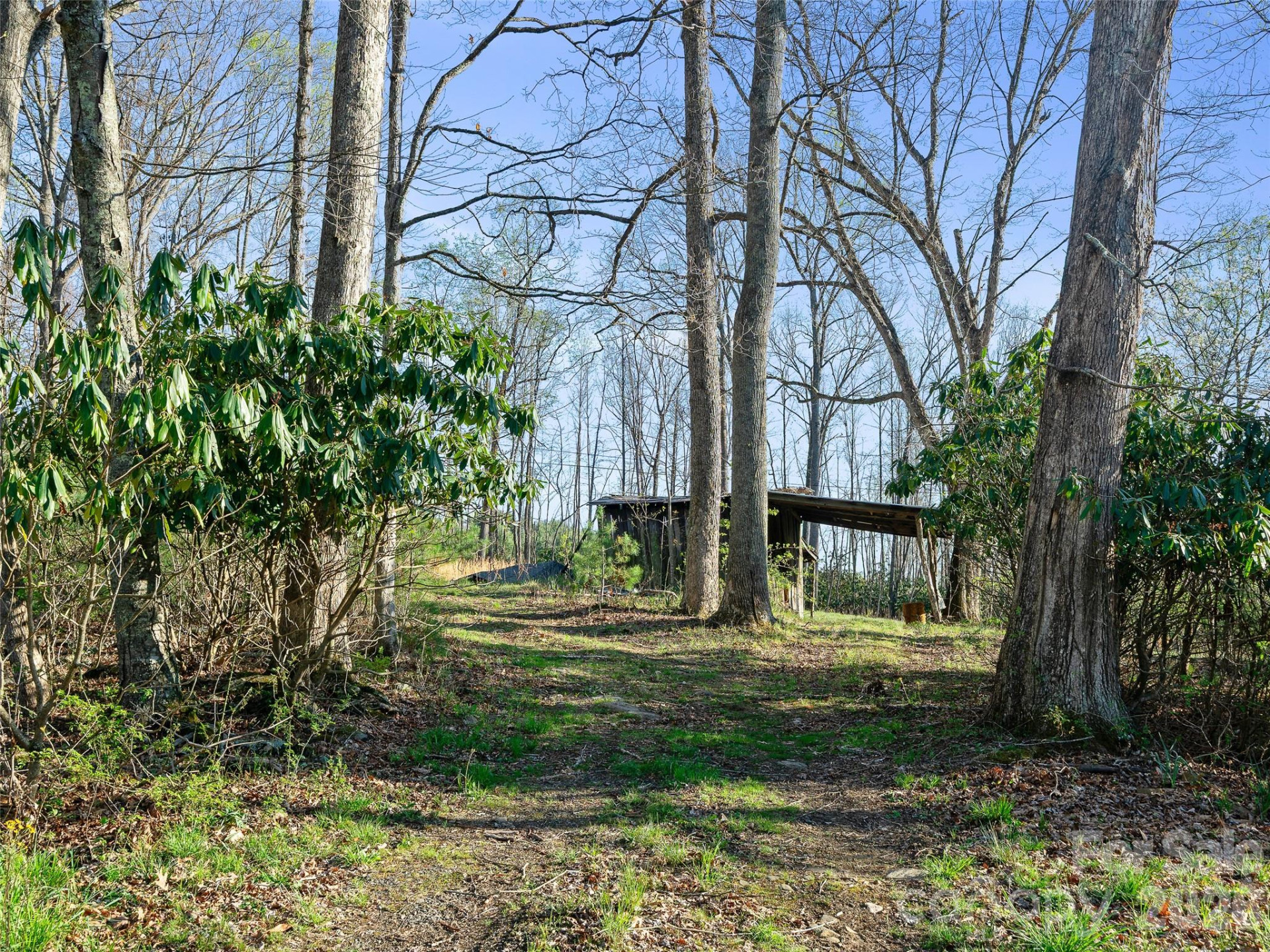 58 Possum Trot Road - Photo 43
