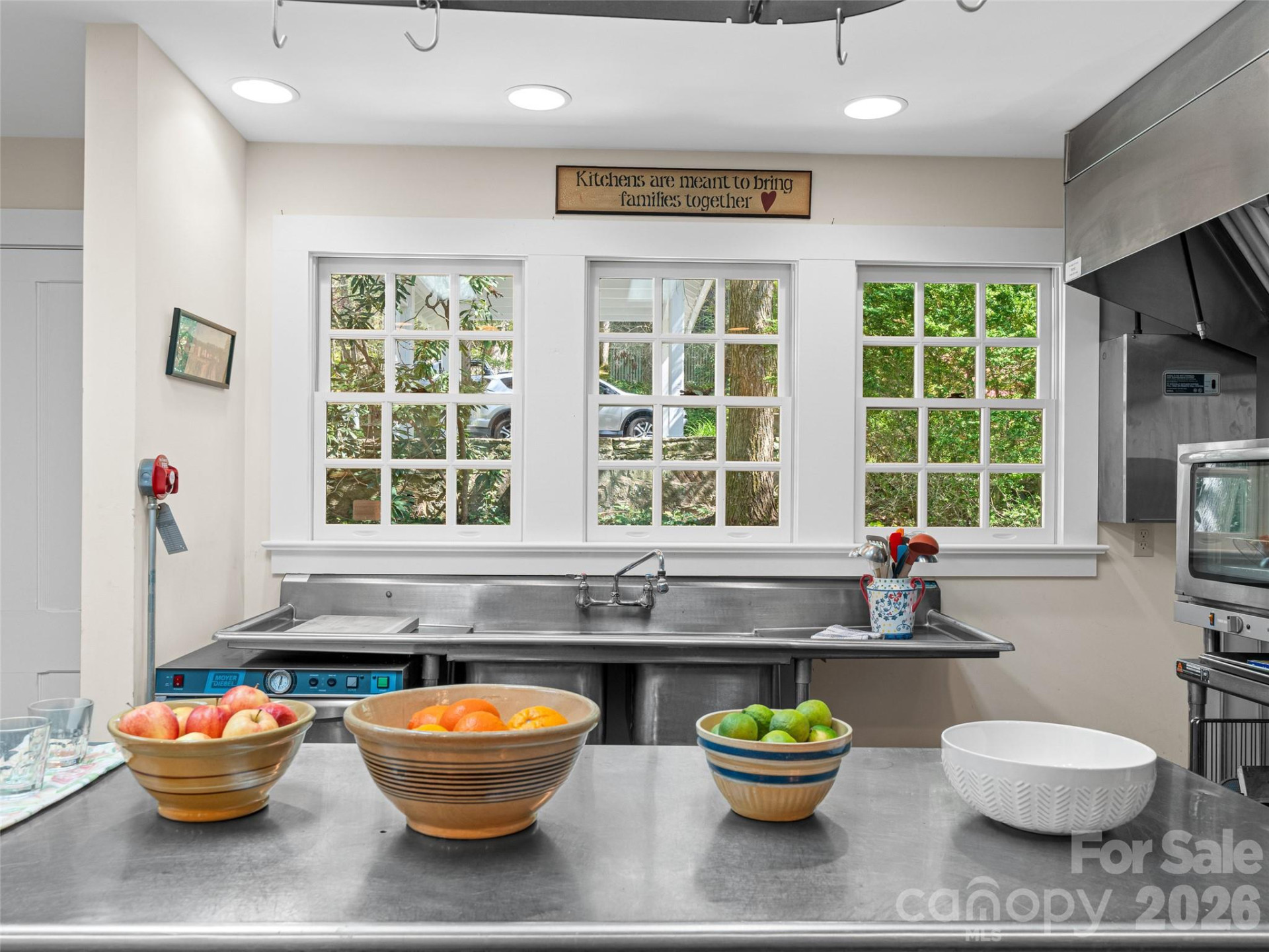 300 Ivy Terrace Drive - Photo 18