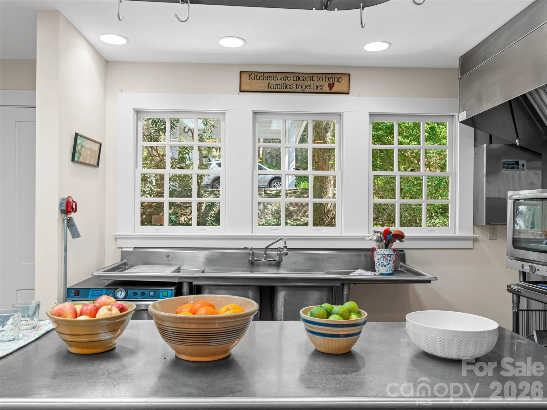 300 Ivy Terrace Drive - Photo 18