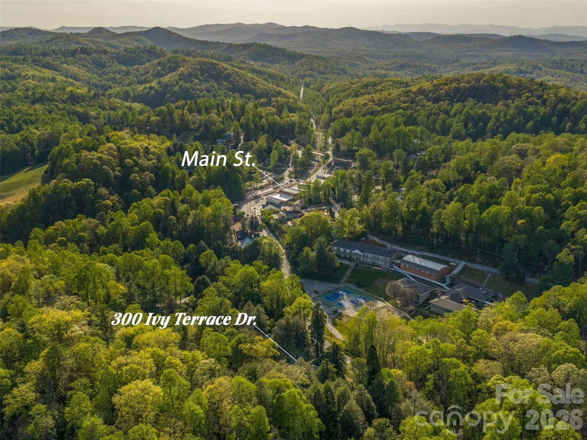 300 Ivy Terrace Drive - Photo 6
