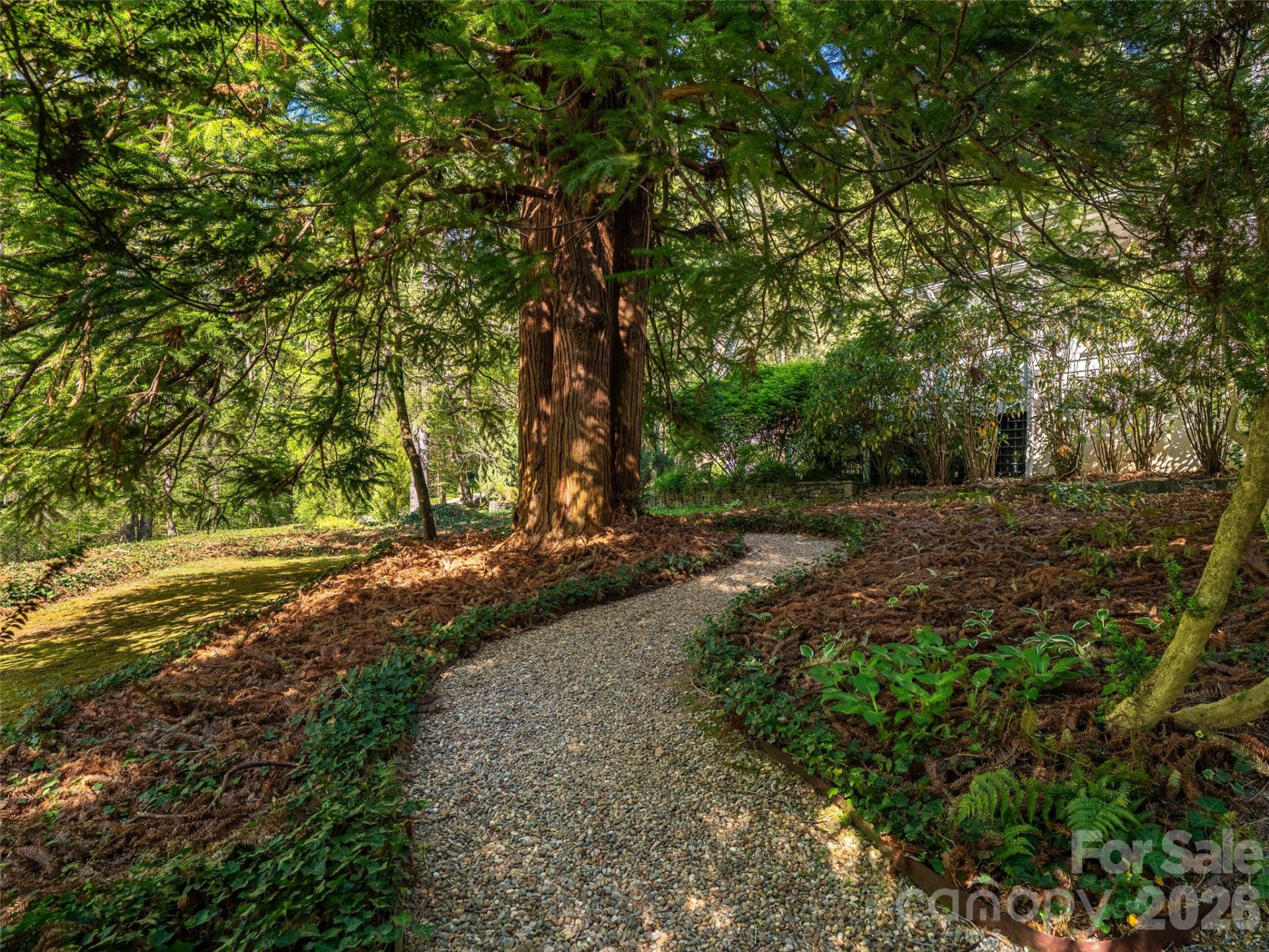 300 Ivy Terrace Drive - Photo 9