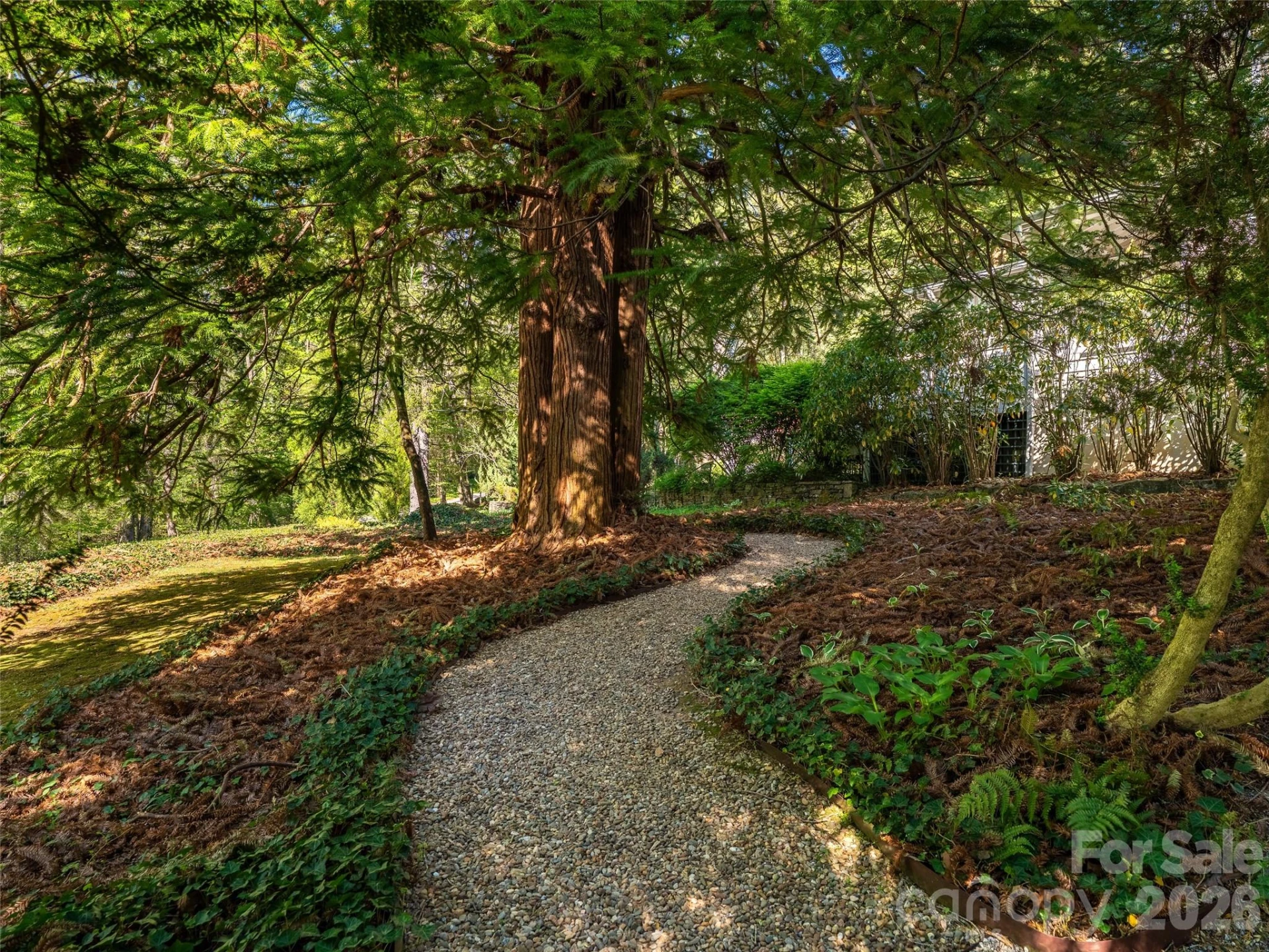 300 Ivy Terrace Drive - Photo 9