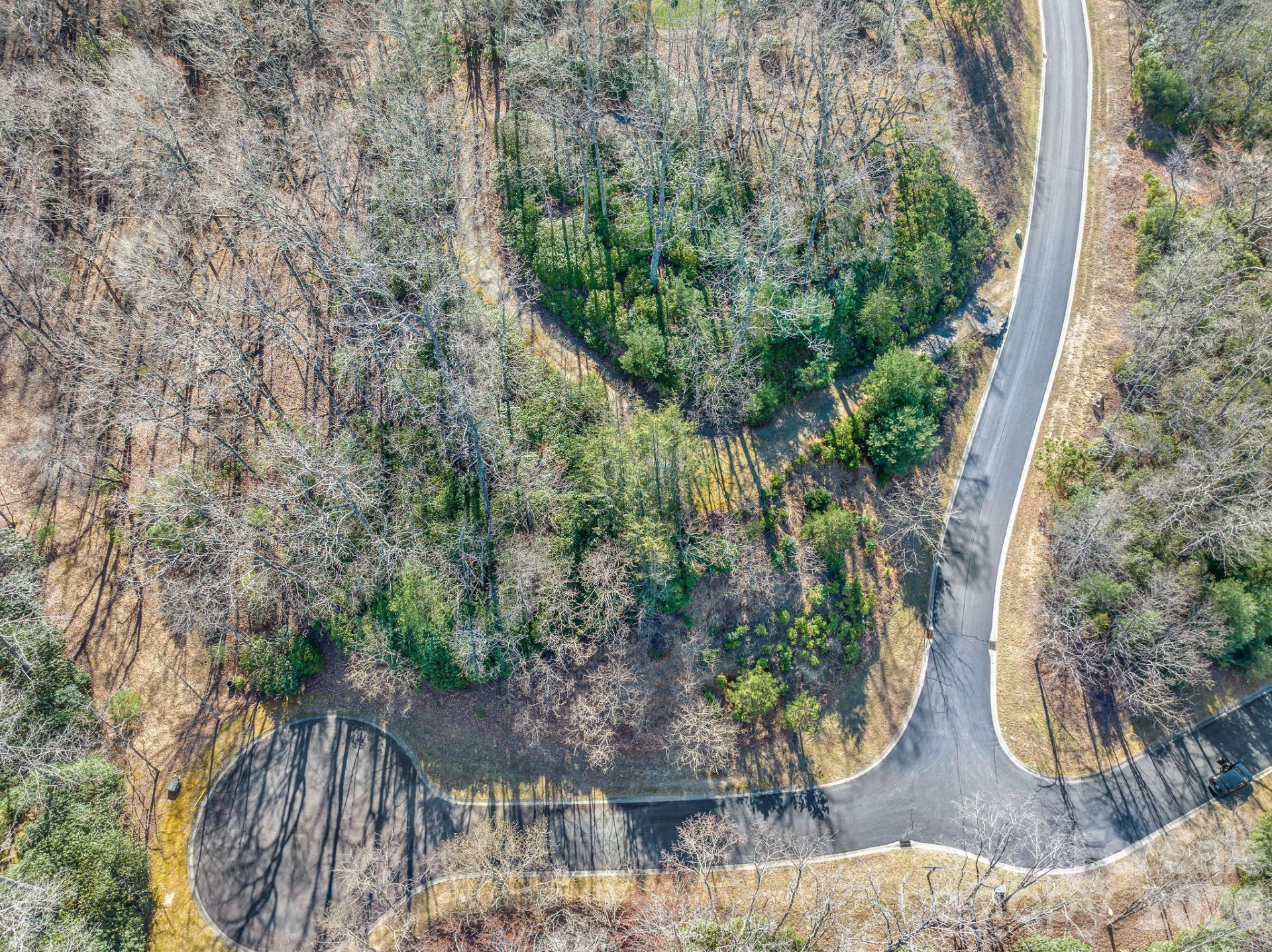 80 Running Deer Trail #80 - Photo 6