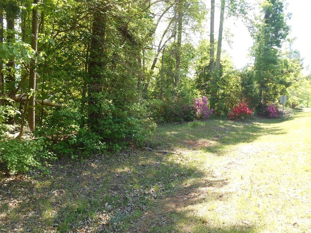00 Tin Mine Road #1