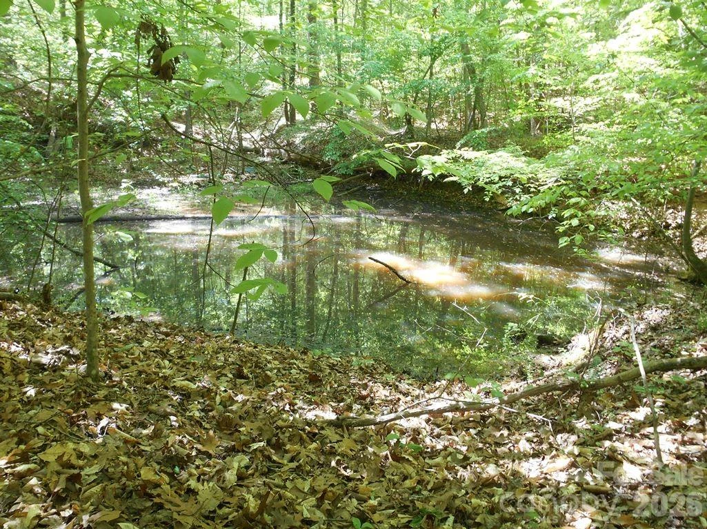 00 Tin Mine Road #1 - Photo 2