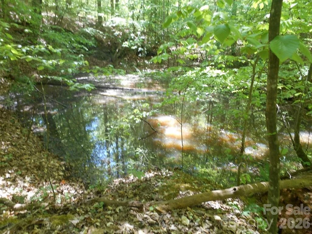 00 Tin Mine Road #1 - Photo 11