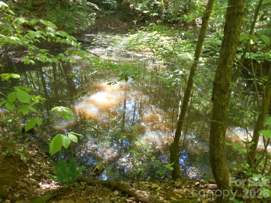00 Tin Mine Road #1 - Photo 12