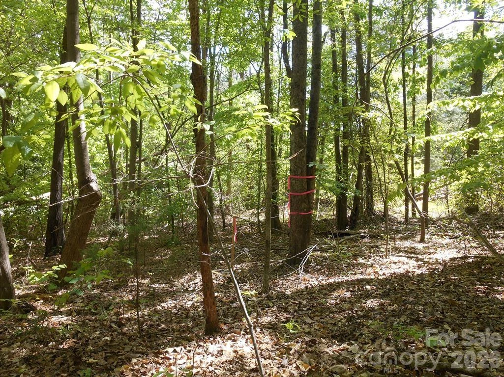 00 Tin Mine Road #1 - Photo 8