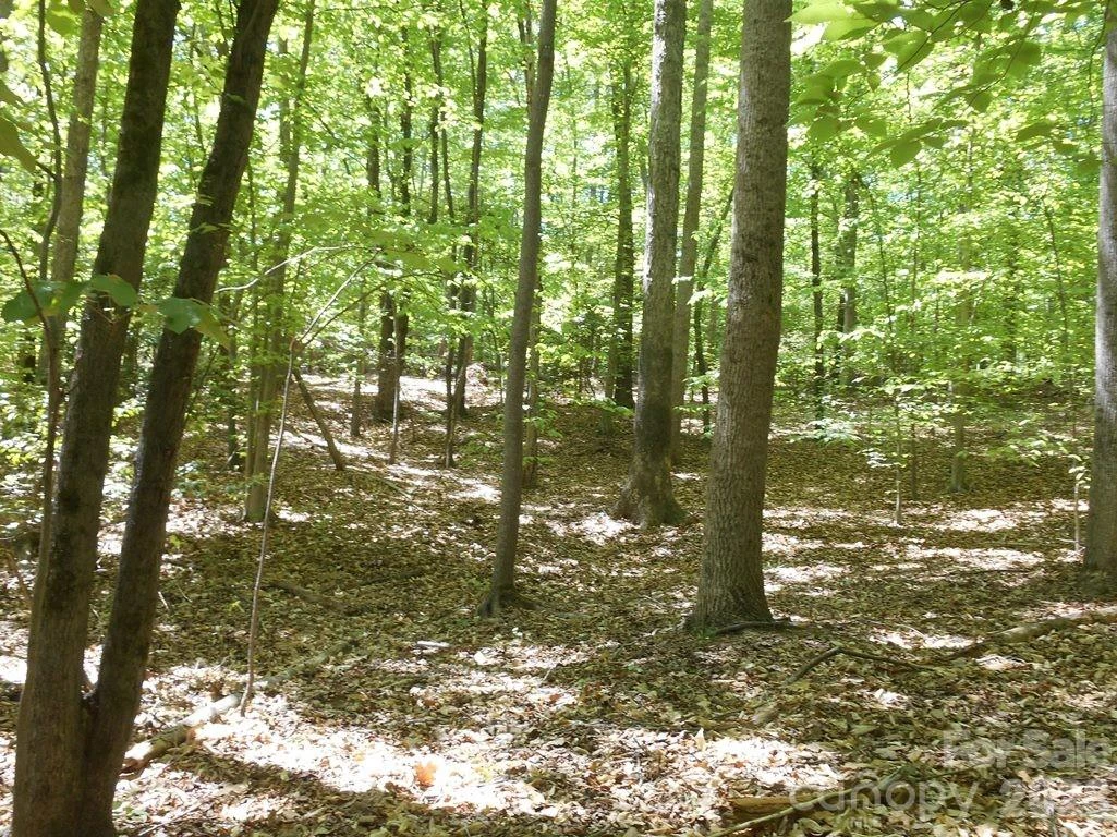00 Tin Mine Road #1 - Photo 10