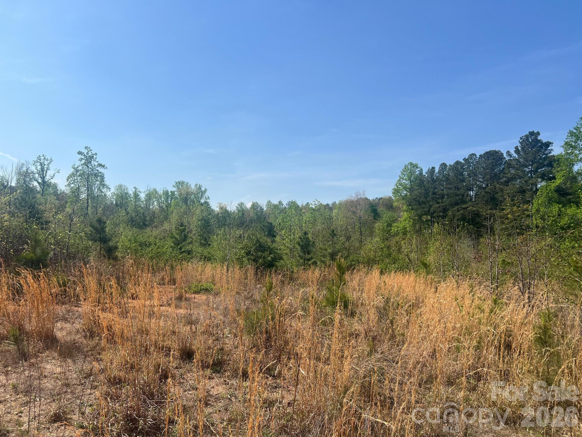 6374 Peniel Road - Photo 2