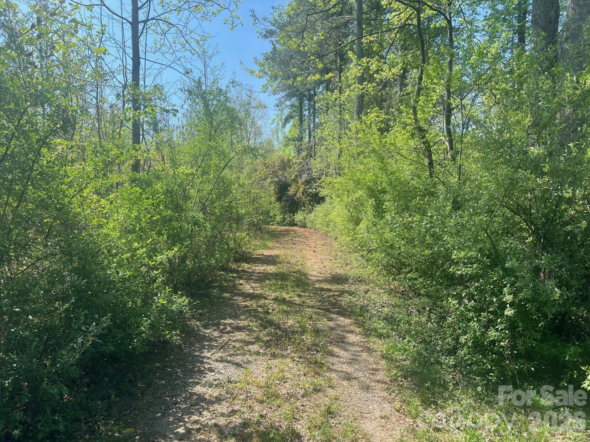 6374 Peniel Road - Photo 12