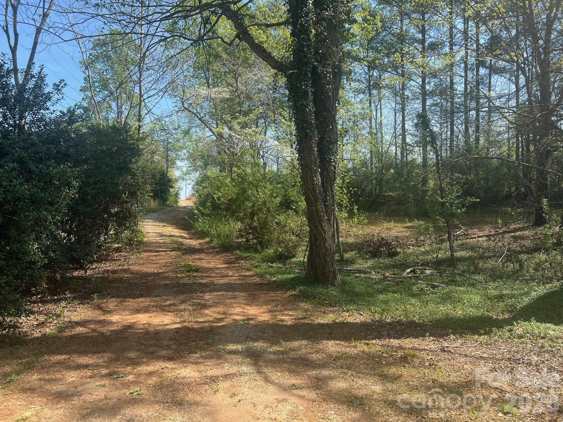 6374 Peniel Road - Photo 13