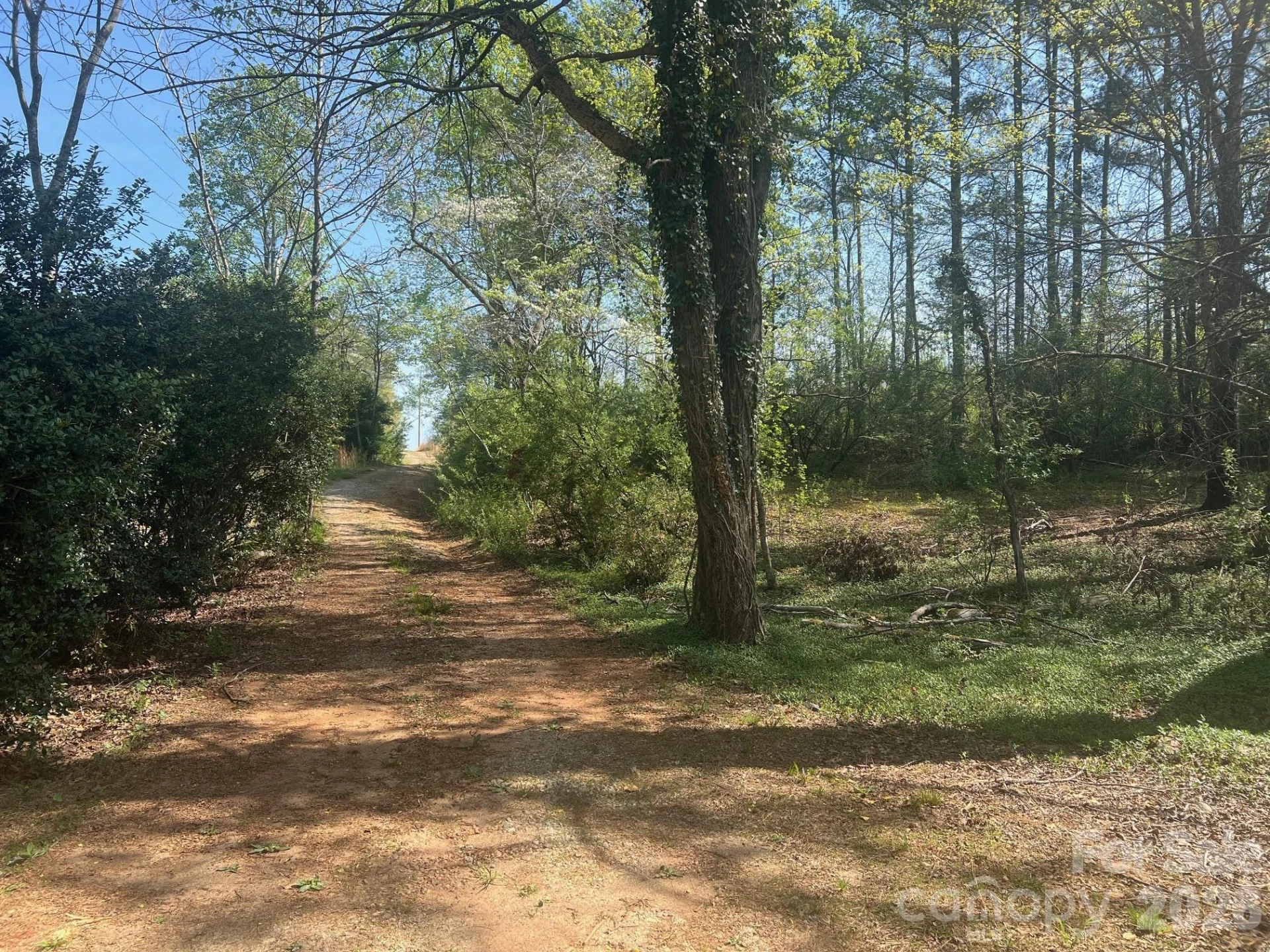 6374 Peniel Road - Photo 13