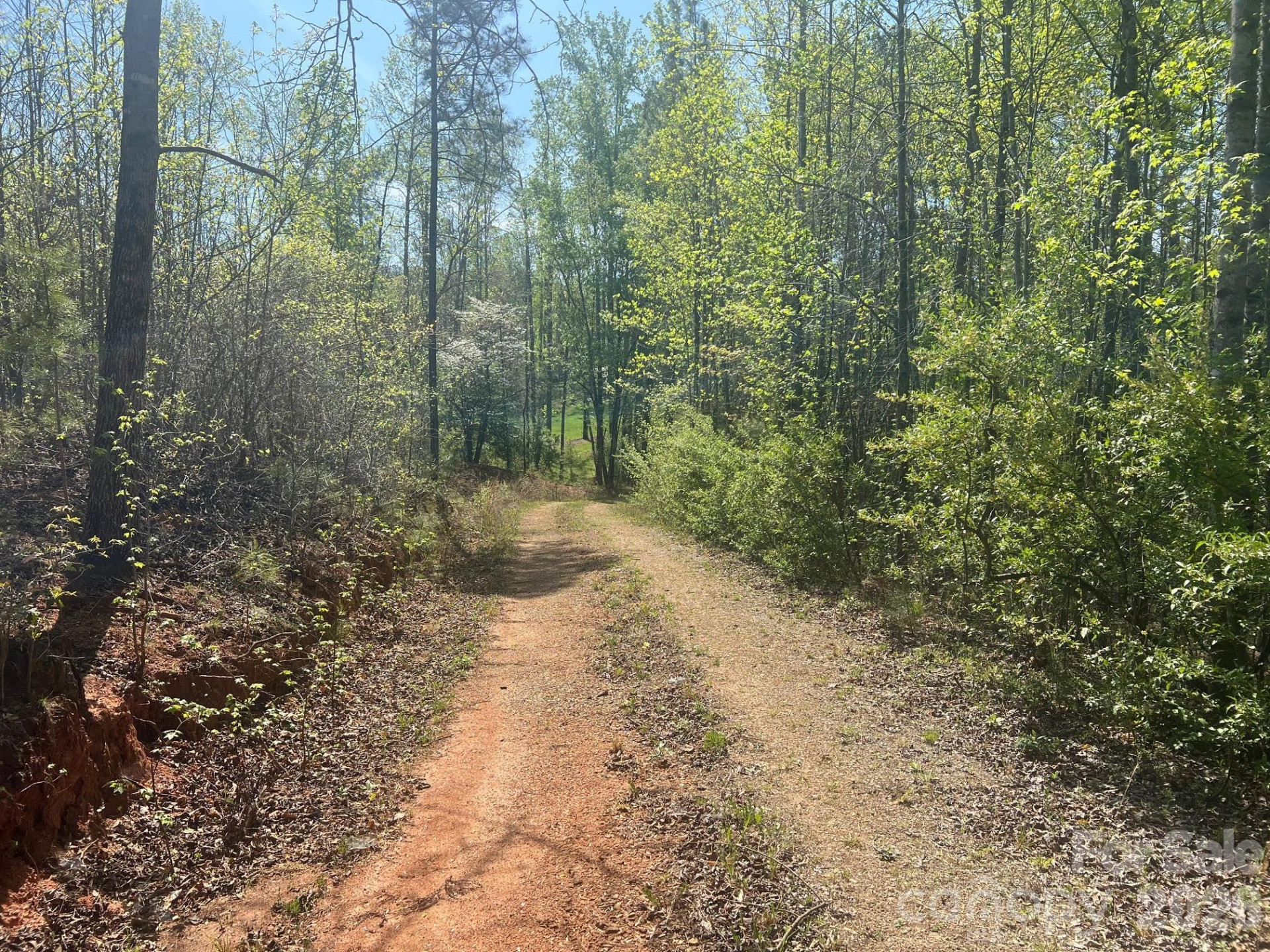 6374 Peniel Road - Photo 14