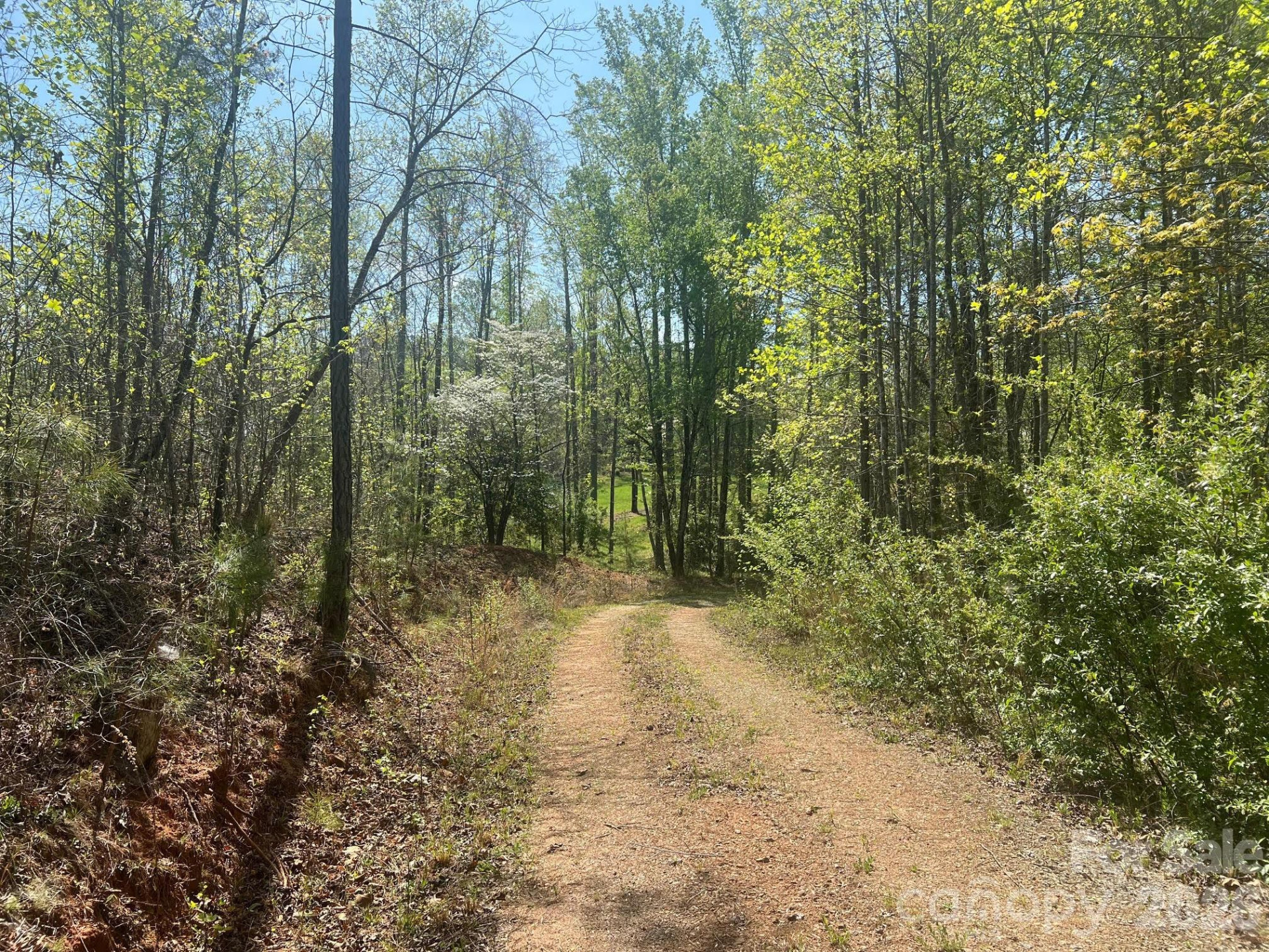 6374 Peniel Road - Photo 15