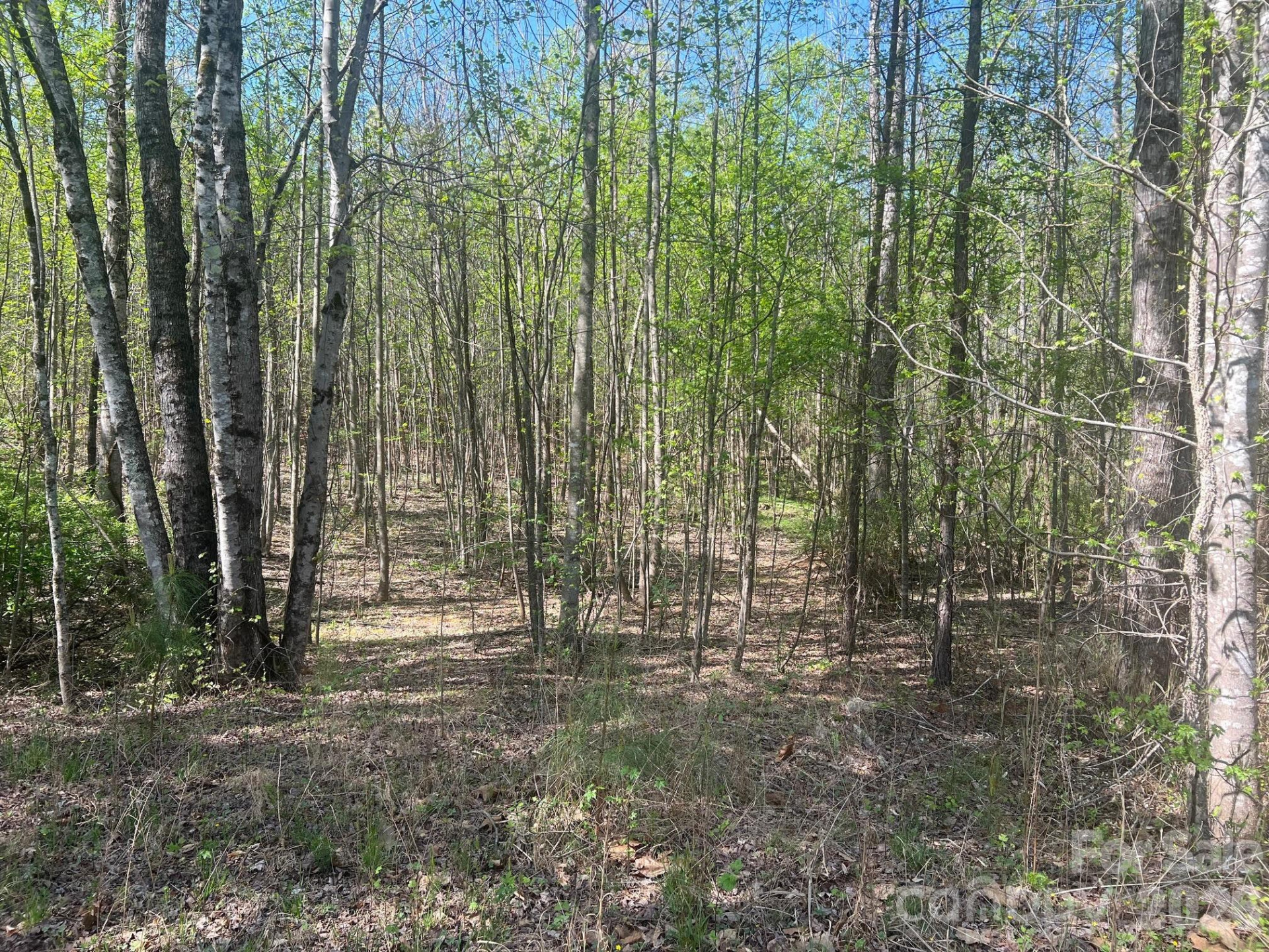 6374 Peniel Road - Photo 17