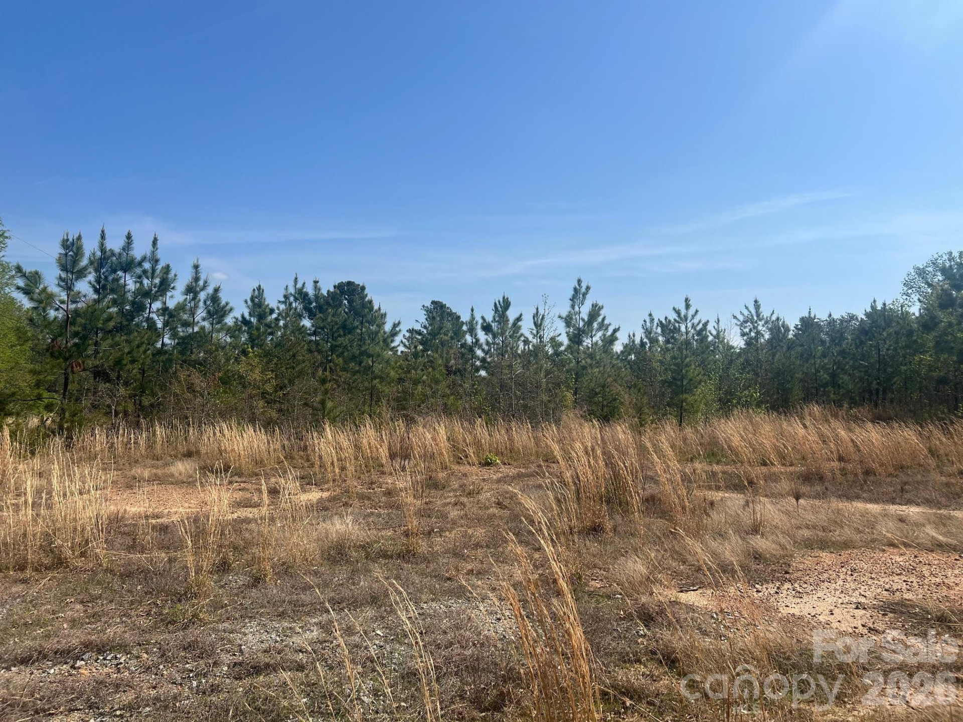 6374 Peniel Road - Photo 3