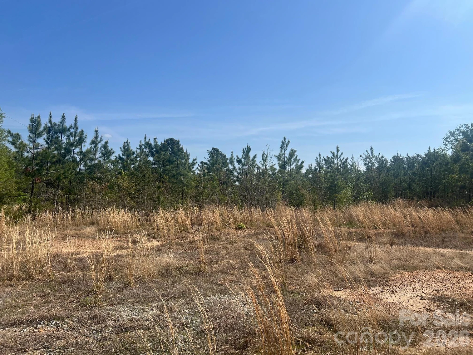 6374 Peniel Road - Photo 3