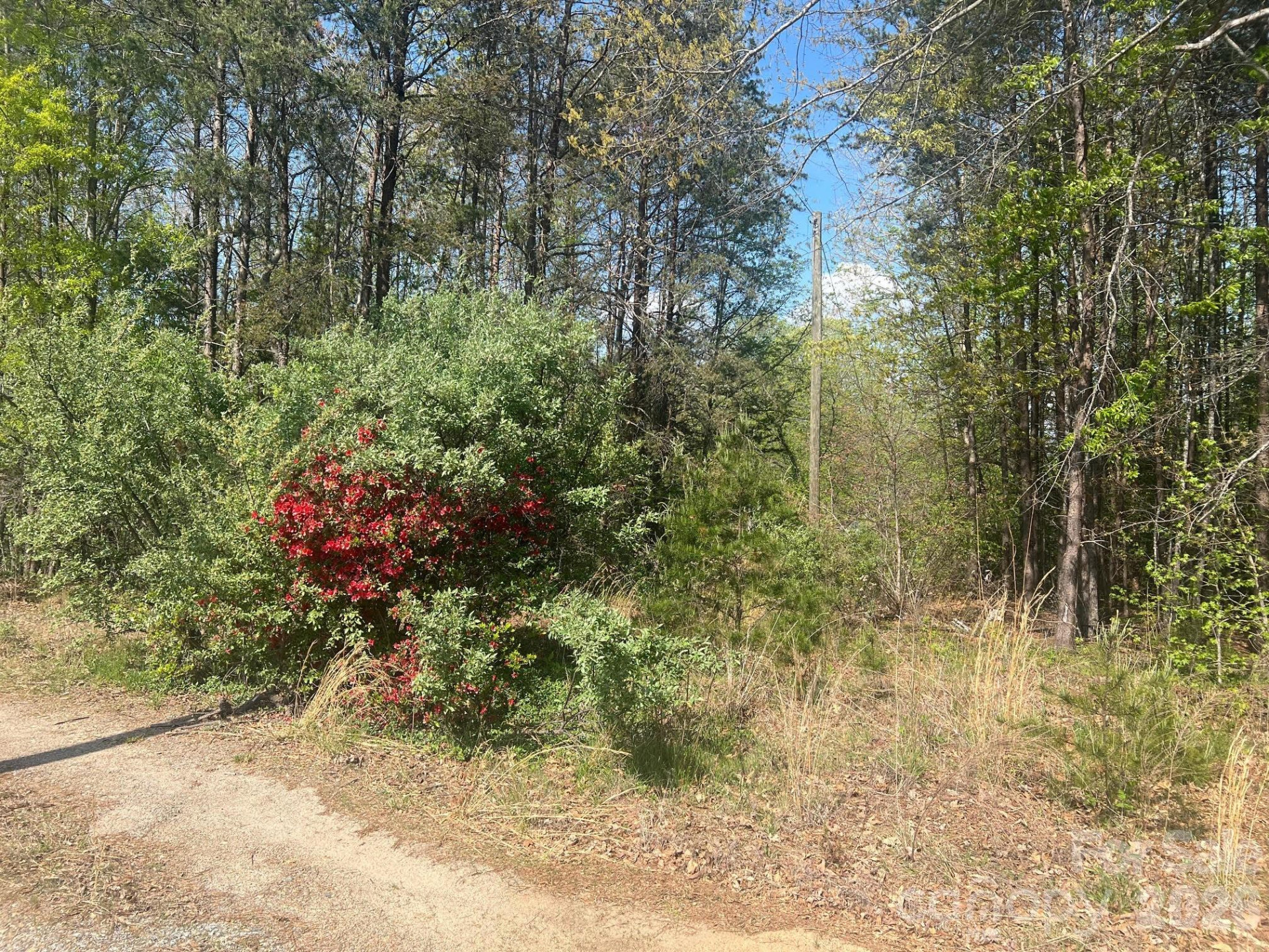 6374 Peniel Road - Photo 4