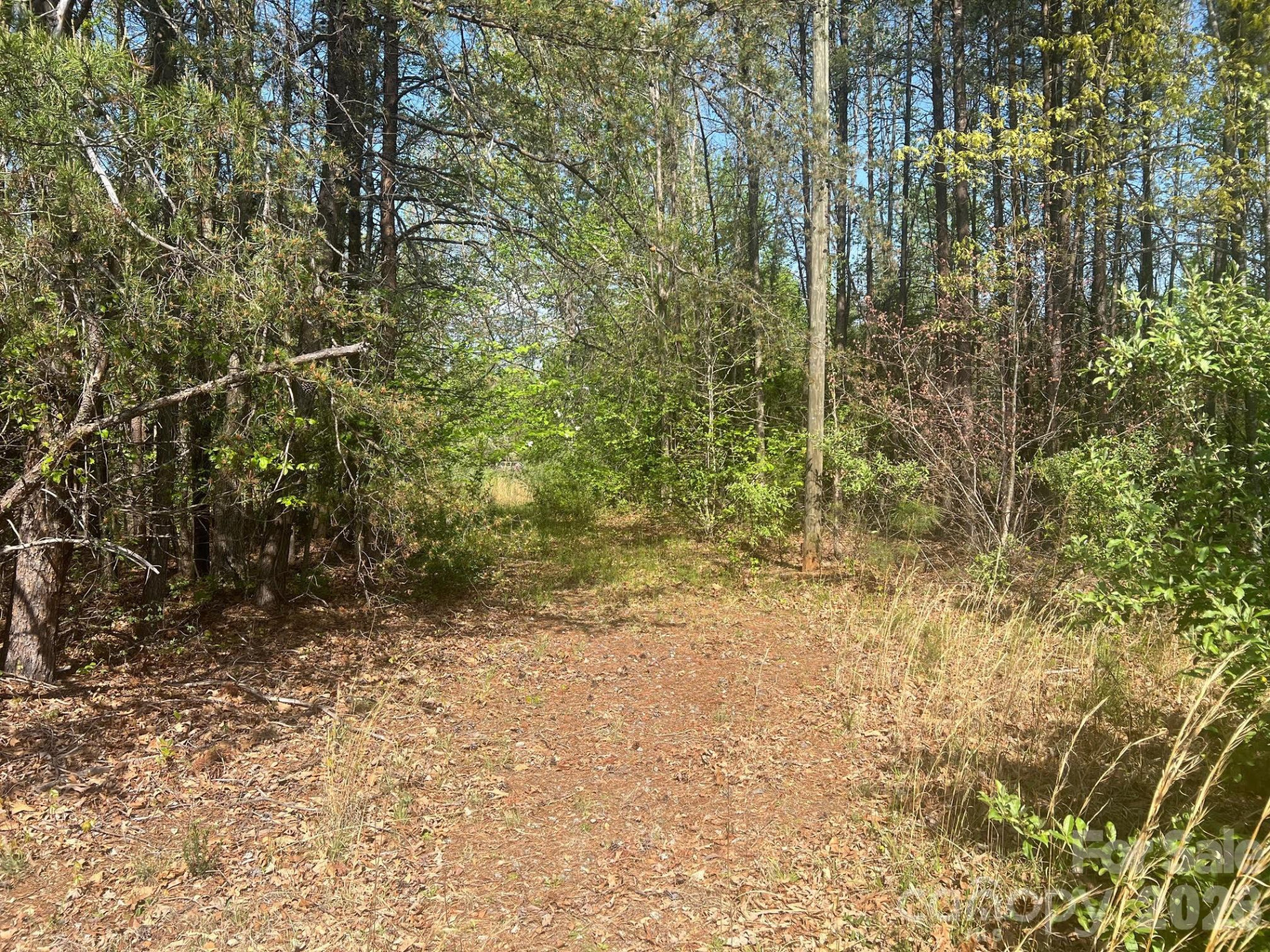 6374 Peniel Road - Photo 5