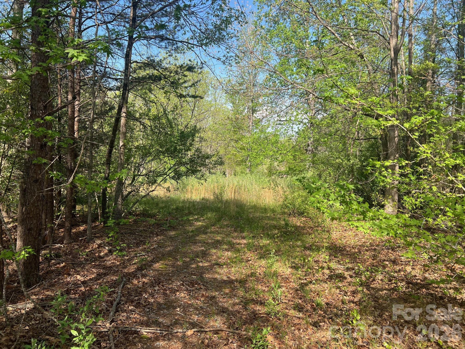 6374 Peniel Road - Photo 6