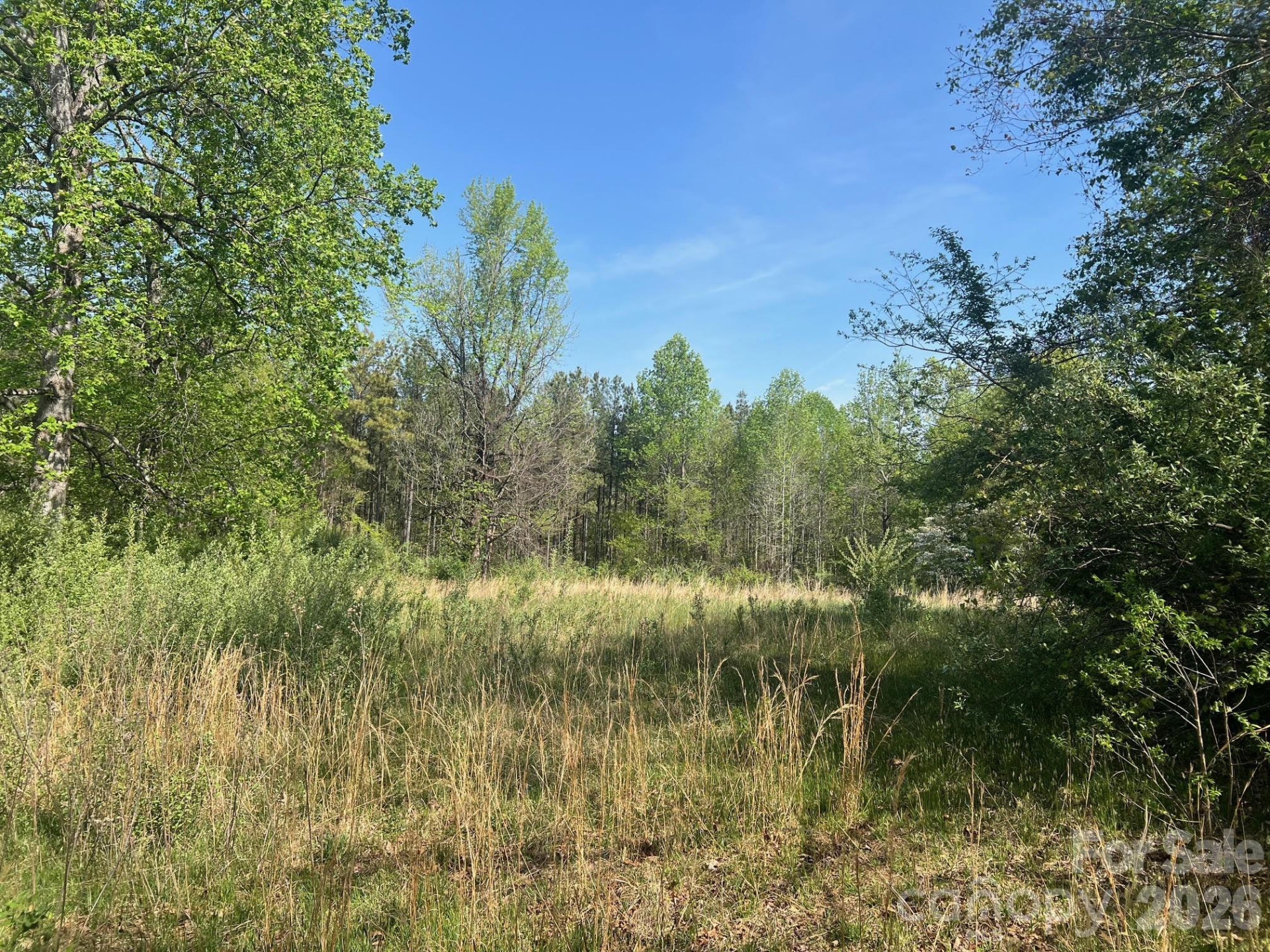 6374 Peniel Road - Photo 8