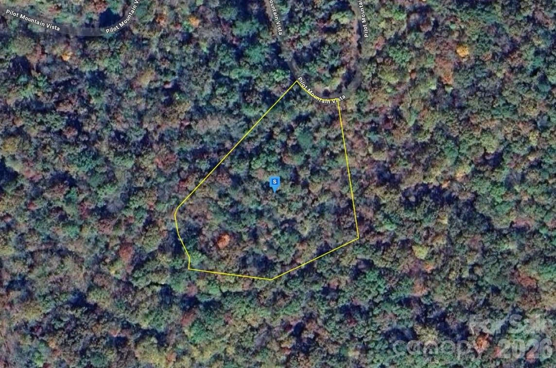 111 Pilot Mountain Vista