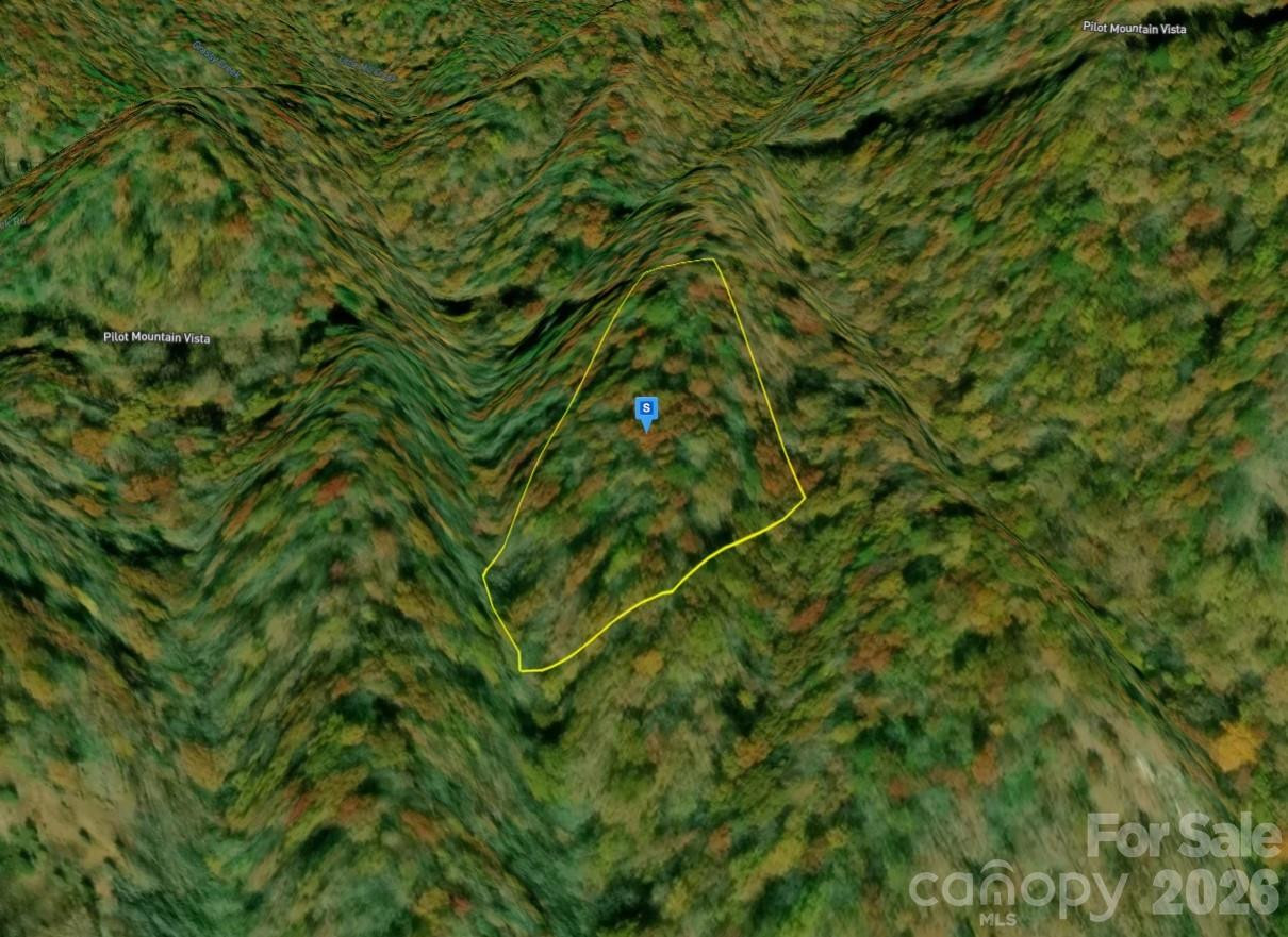 111 Pilot Mountain Vista - Photo 2