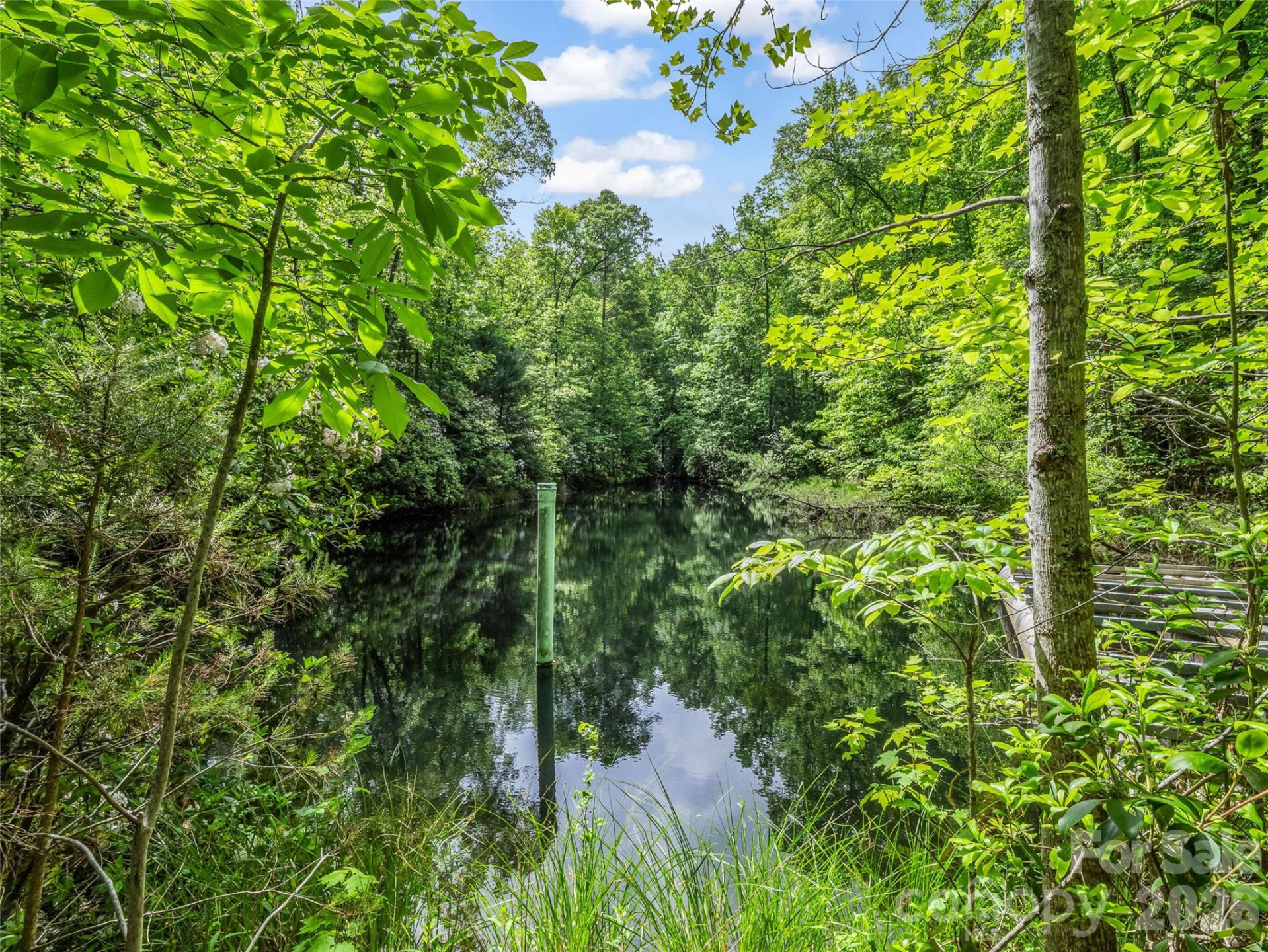 174 Rock Ridge - Photo 41