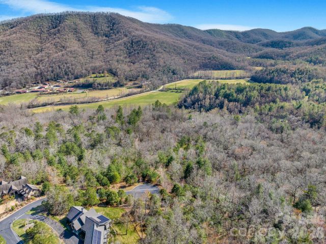 140 Woodhen Way, Horse Shoe, NC, 28742