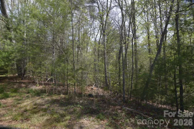 00 Garnet Drive, Leicester, NC, 28748