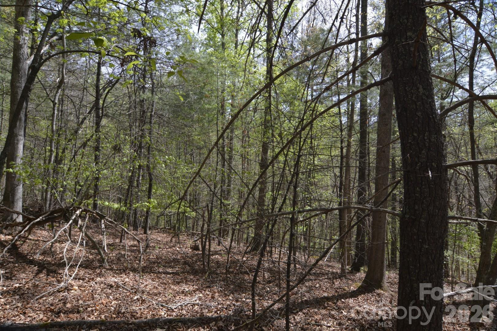 00 Garnet Drive - Photo 11