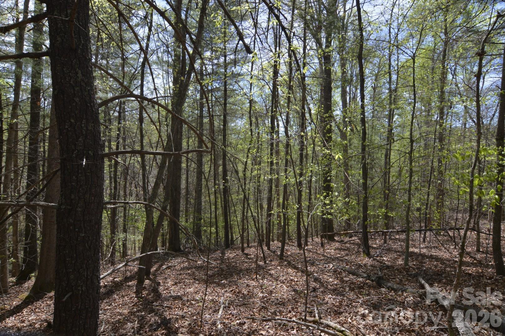 00 Garnet Drive - Photo 12