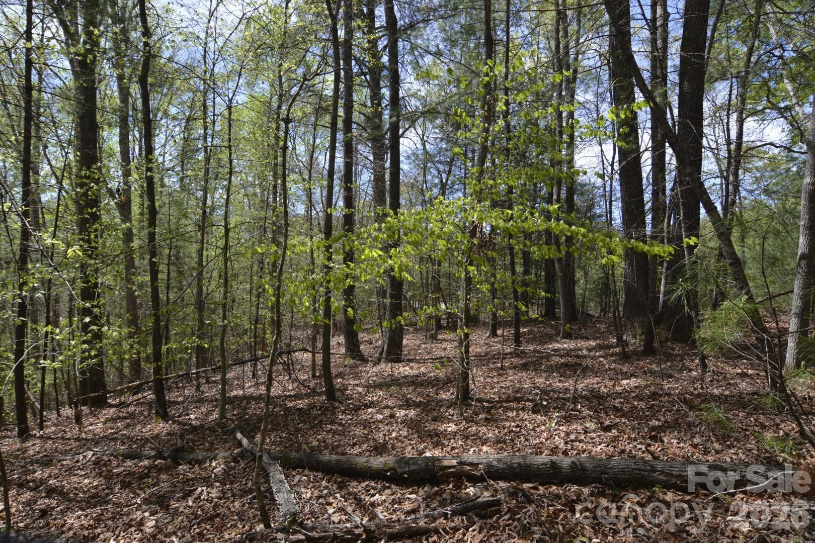 00 Garnet Drive - Photo 13