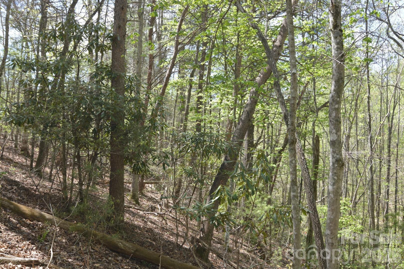 00 Garnet Drive - Photo 15